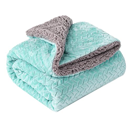 Md-aqua Green