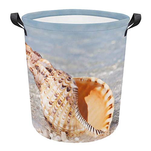 Seaside Shell Summer Blue
