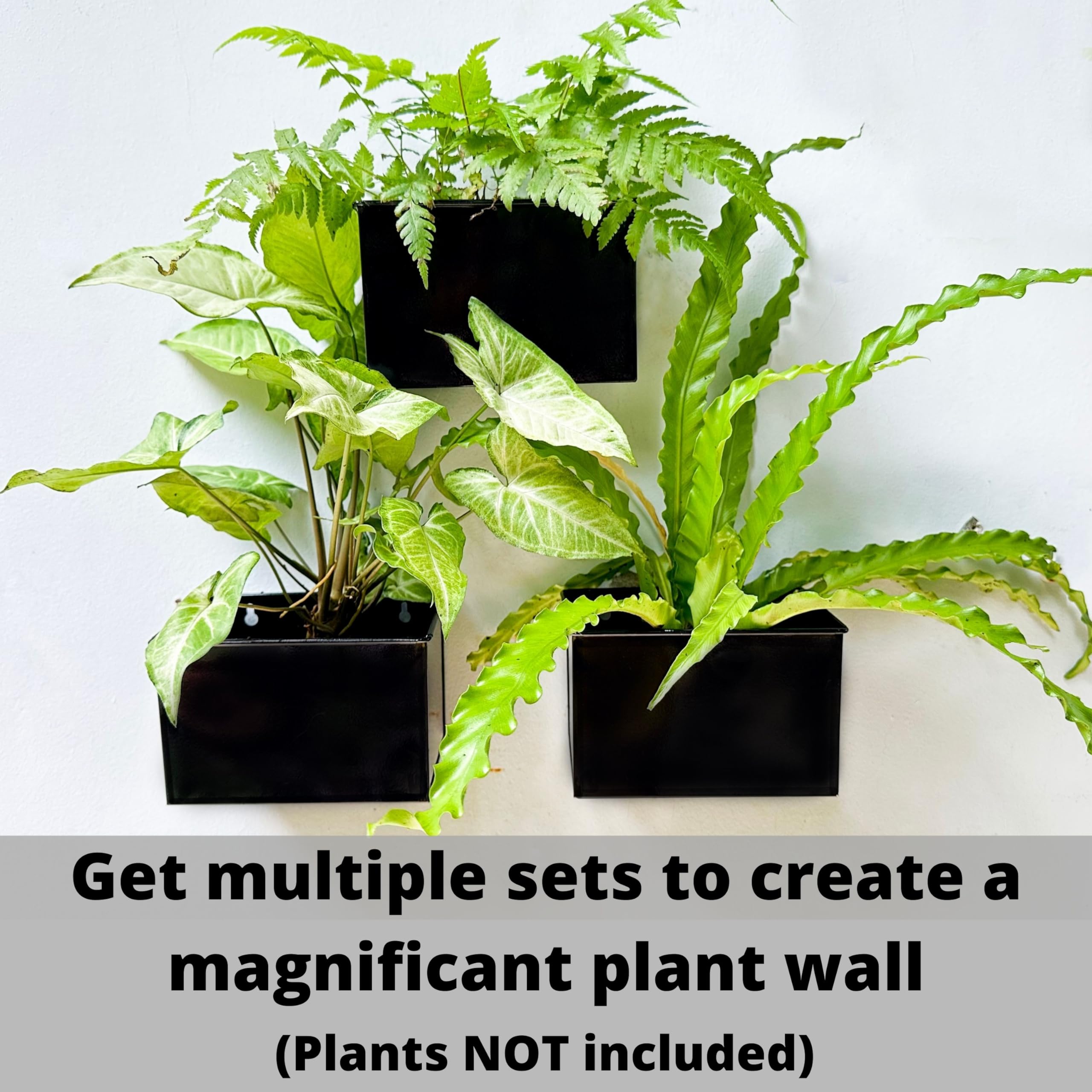 LaLaGreen Wall Planter Set (3 Pack, 6 Inch) - Black Rectangular Hanging Metal Flower Pots for Succulents, Air Plants & Herbs | Indoor/Outdoor Window Box, Fence Decor, Floating Garden Shelf for Deck, Patio & Home Decor