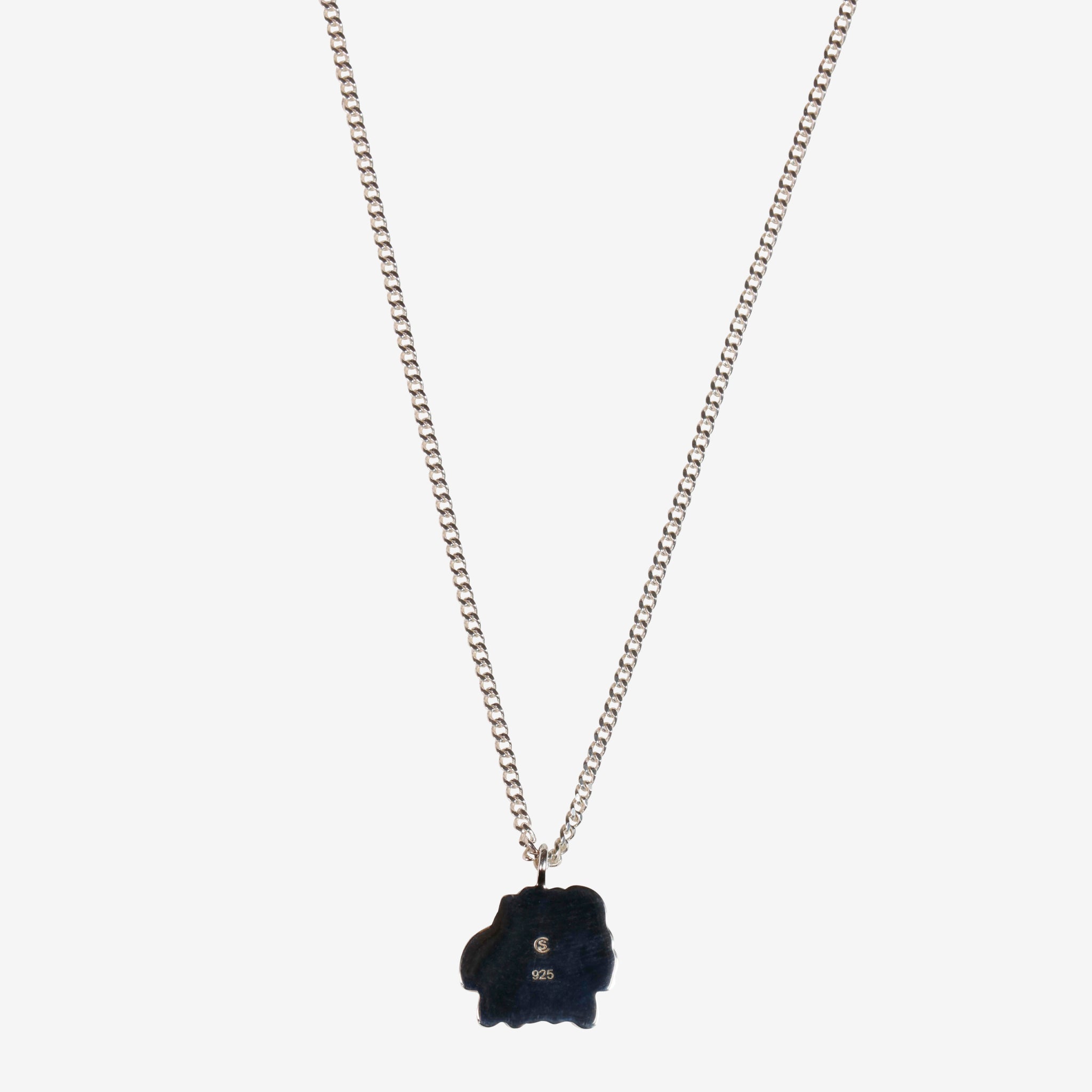Capricorn Zodiac Silver Pendant Necklace - Perfect for Birthdays, Gifts & Astrology Jewelry Lovers