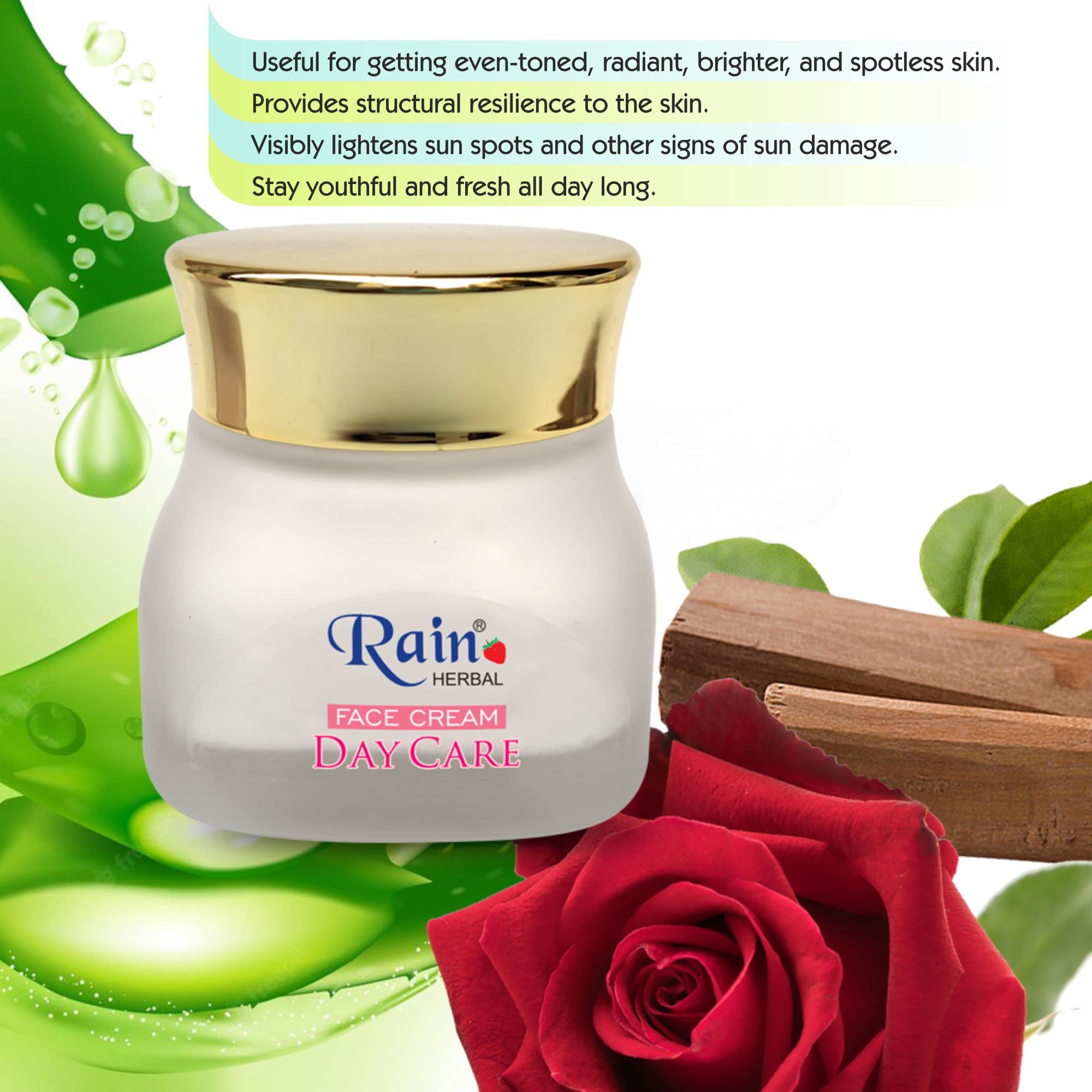 Rain HERBAL All Day Care Cream - Anti Dryness & Age Control Face Moisturizer to Reduce Fine Lines & Wrinkles (50g) | Hydrating Daily Skincare for Women & Men | Perfect for Dry Skin, Mature Skin & Night Routine