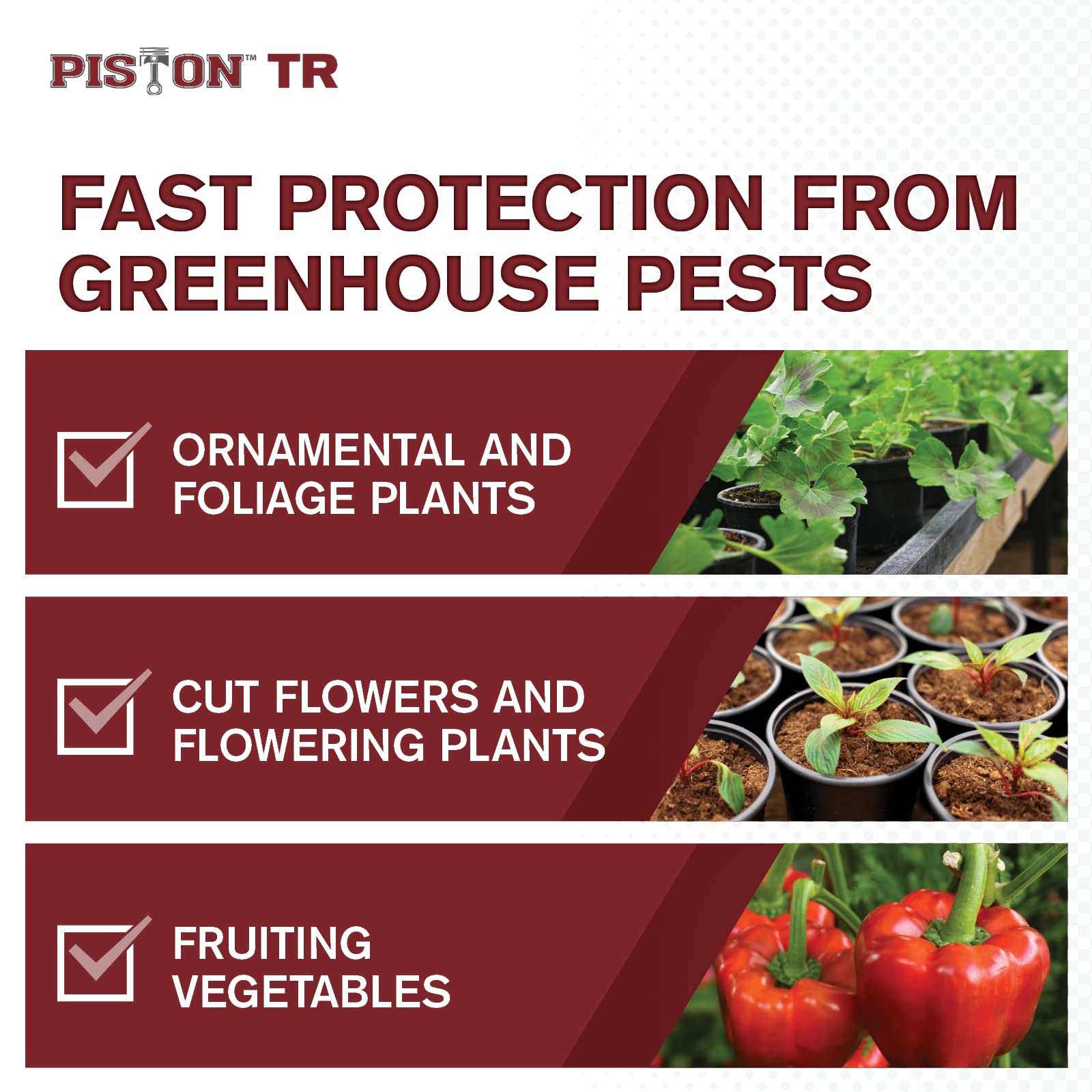 Atticus Piston TR Greenhouse Fogger (12 Pack) - Chlorfenapyr Insecticide & Miticide for Mites, Thrips, Caterpillars & Fungus Gnats - Professional Pest Control Solution for Greenhouses, Grow Rooms & Indoor Gardens