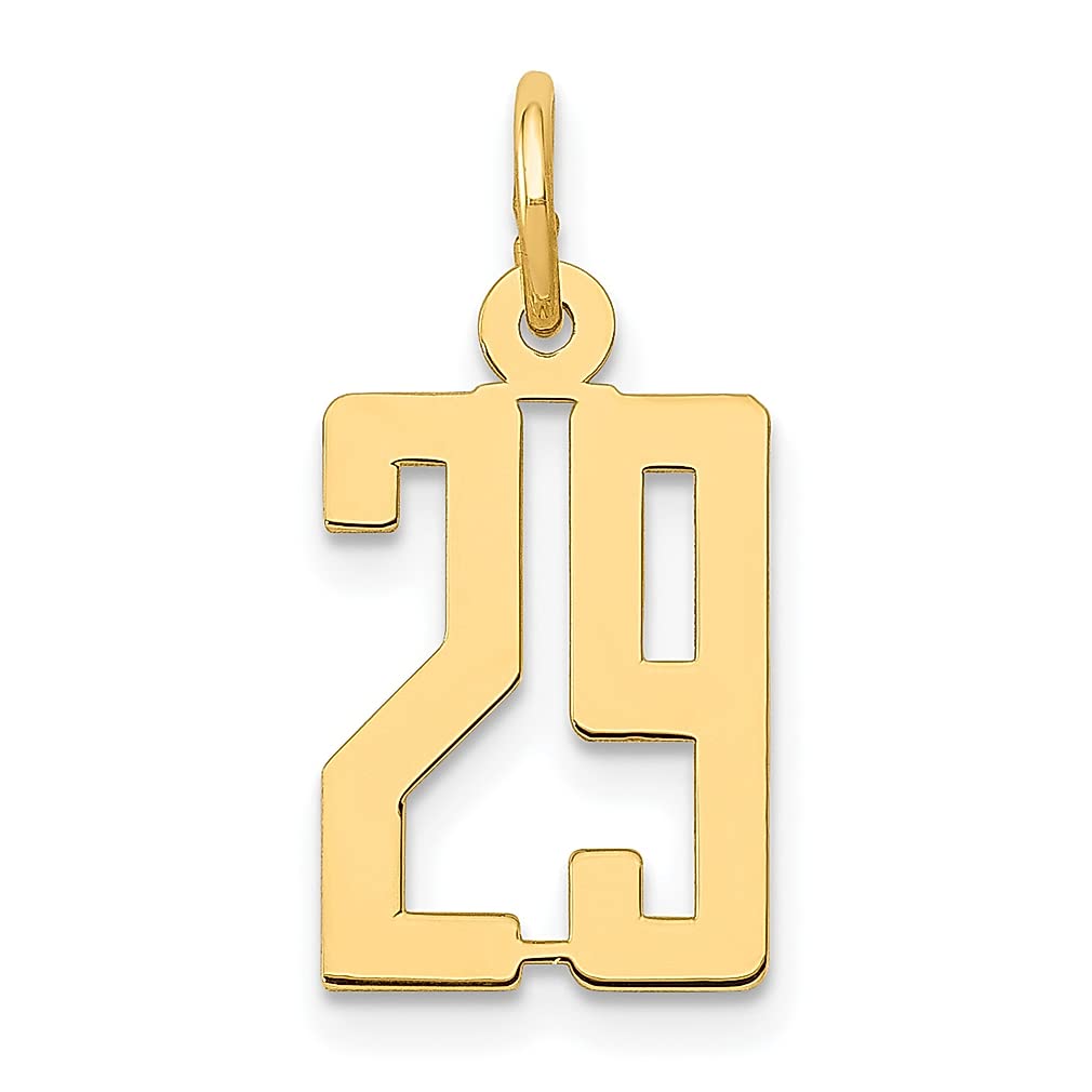 14K Yellow Gold Elongated Number 29 Charm Necklace - Dainty Pendant Jewelry for Women | Birthday Gift for Her, Graduation Present, Anniversary Keepsake