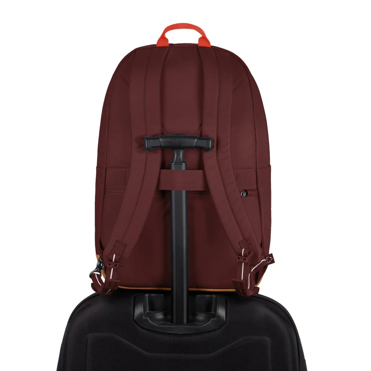 Pacsafe Go 25L Anti-Theft Travel Backpack - Secure & Lightweight Daypack for Commuting, Hiking & Urban Exploration