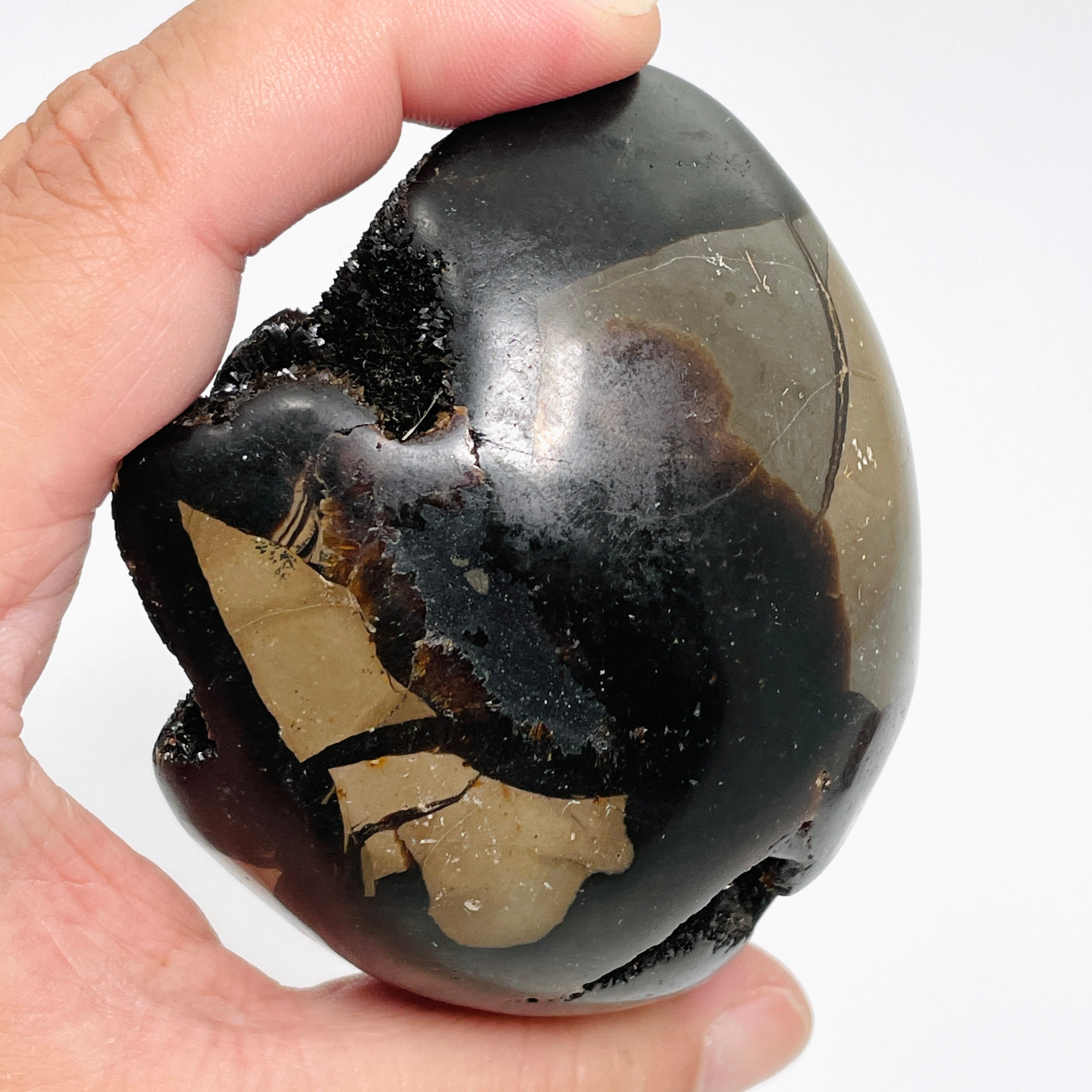 Natural Septarian Egg Stone - Unique Healing Crystal for Meditation, Home Decor & Spiritual Gifts | Perfect for Yoga Spaces, Office Desks & Crystal Collections