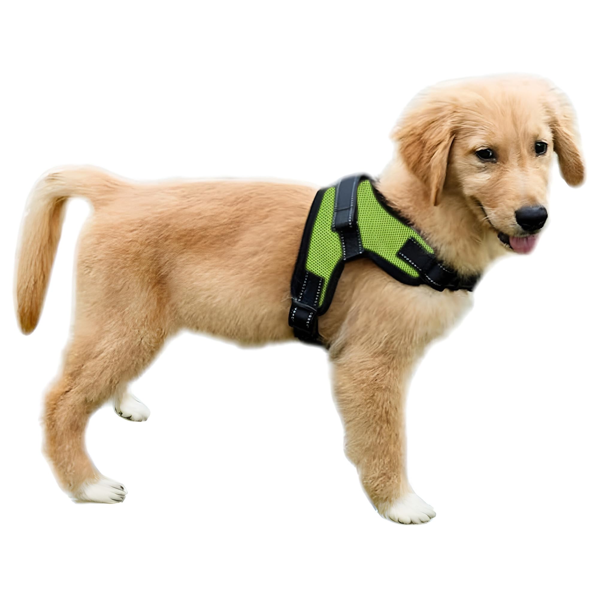 No Pull Reflective Adjustable Dog Harness with Handle - Comfortable Soft All-Weather Mesh Vest for Small Medium Large Dogs - Easy On Puppy Harness for Walking Running Hiking Training (Green, XX-Small)