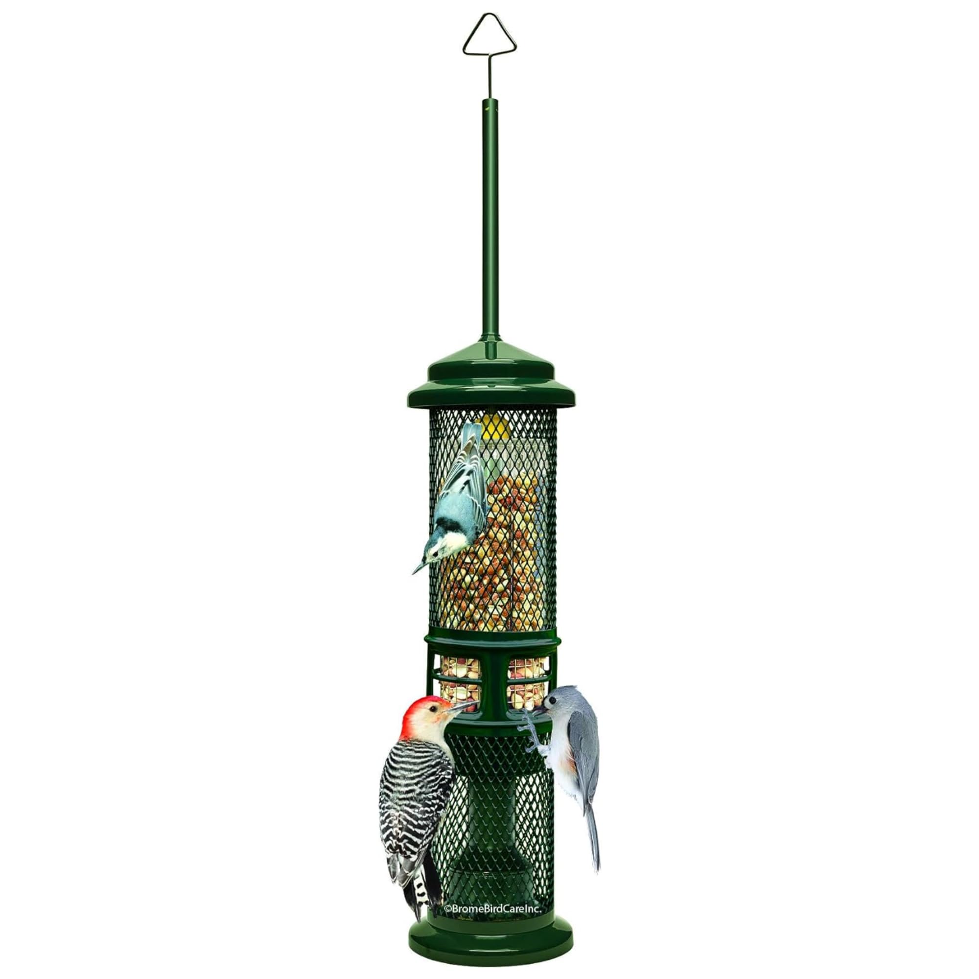 Squirrel Proof Bird Feeder - Squirrel Buster Nut Feeder for Wild Birds, Holds Nuts & Fruits, Dual Mesh Design - Perfect for Backyard, Garden & Outdoor Bird Watching