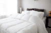 Pillowtex Essential Bedding Set - All Season Comforter with Matching Pillowcases | Soft & Breathable for Year-Round Comfort | Perfect for Master Bedroom, Guest Room & Dormitory