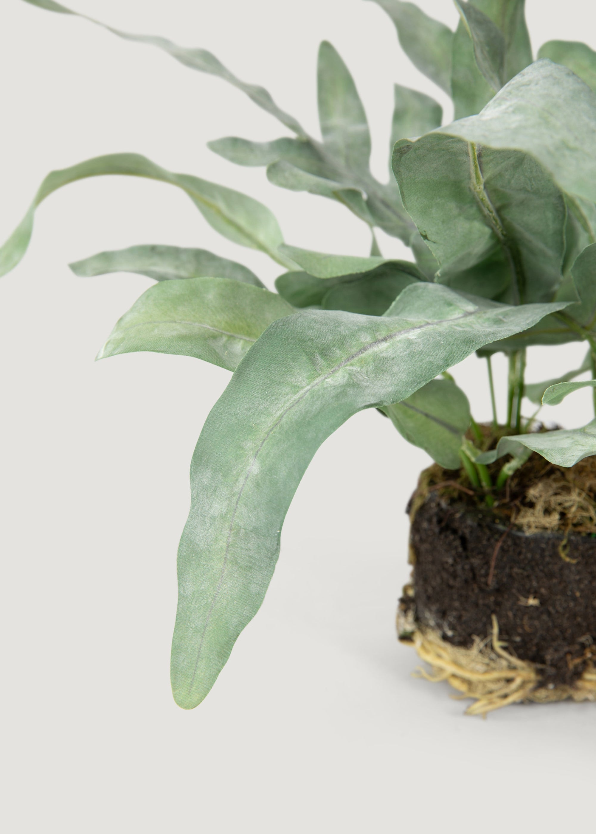 Artificial Echeveria Fern Drop-in Plant - 8.5