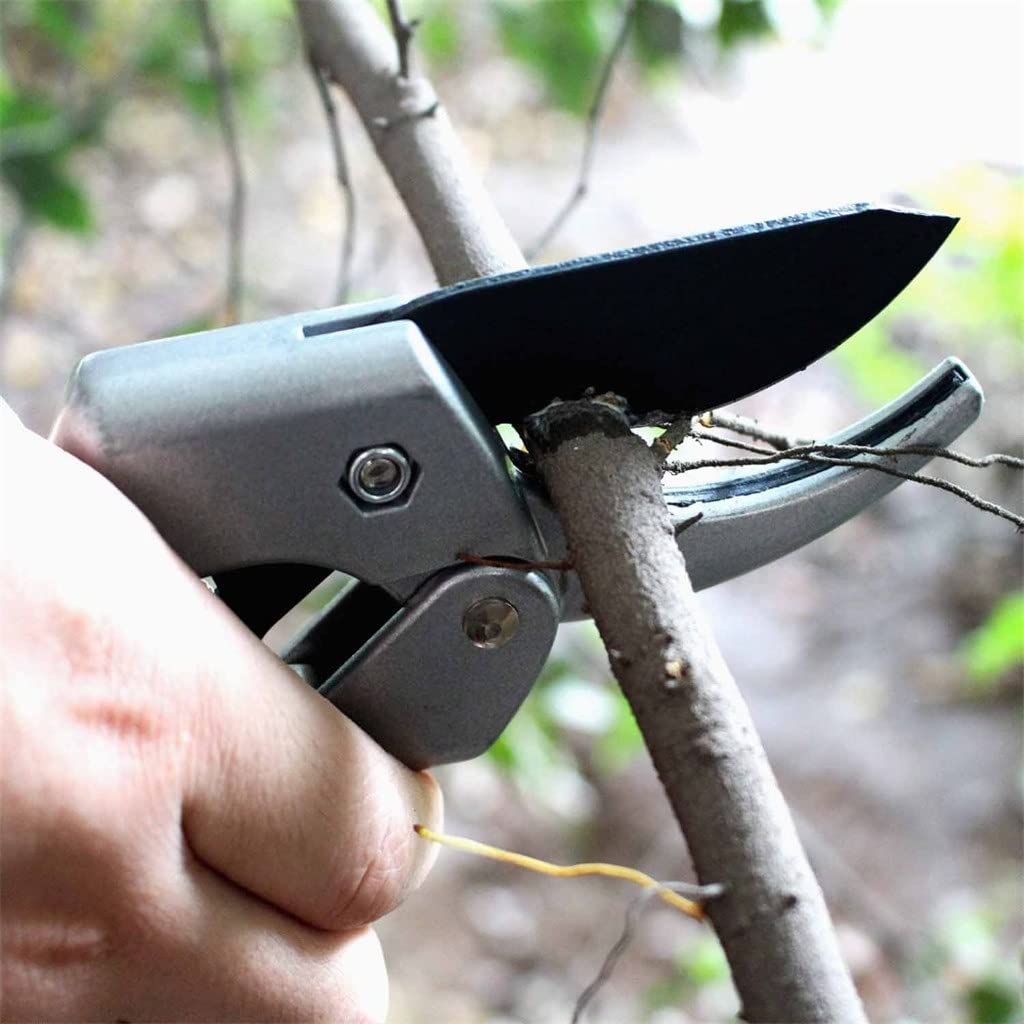 8 Inch Power Drive Ratchet Anvil Pruning Shears - Heavy Duty Garden Scissors for Tree Trimming, Branch Cutting & Plant Care | Ideal for Gardening, Landscaping & Outdoor Use