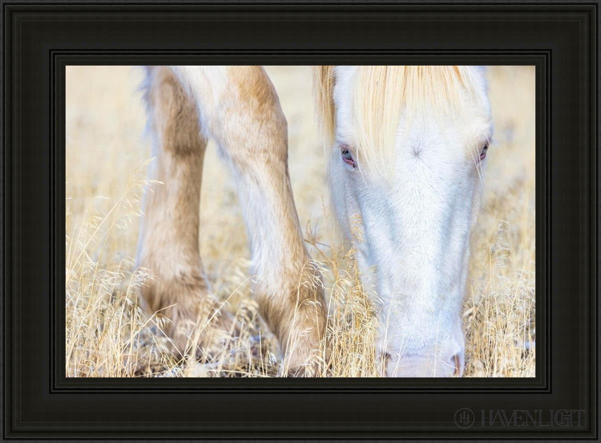 Dry Grass by Greg Sargent - Premium Handcrafted Home Decor for Rustic & Farmhouse Style - Perfect for Wall Art, Shelf Displays & Cozy Living Room Decor