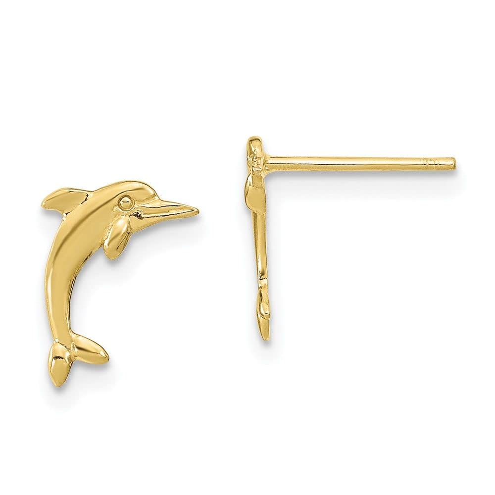 10K Yellow Gold Dolphin Post Earrings for Women - Hypoallergenic Stud Earrings for Sensitive Ears - Perfect Gift for Birthday, Anniversary & Everyday Wear