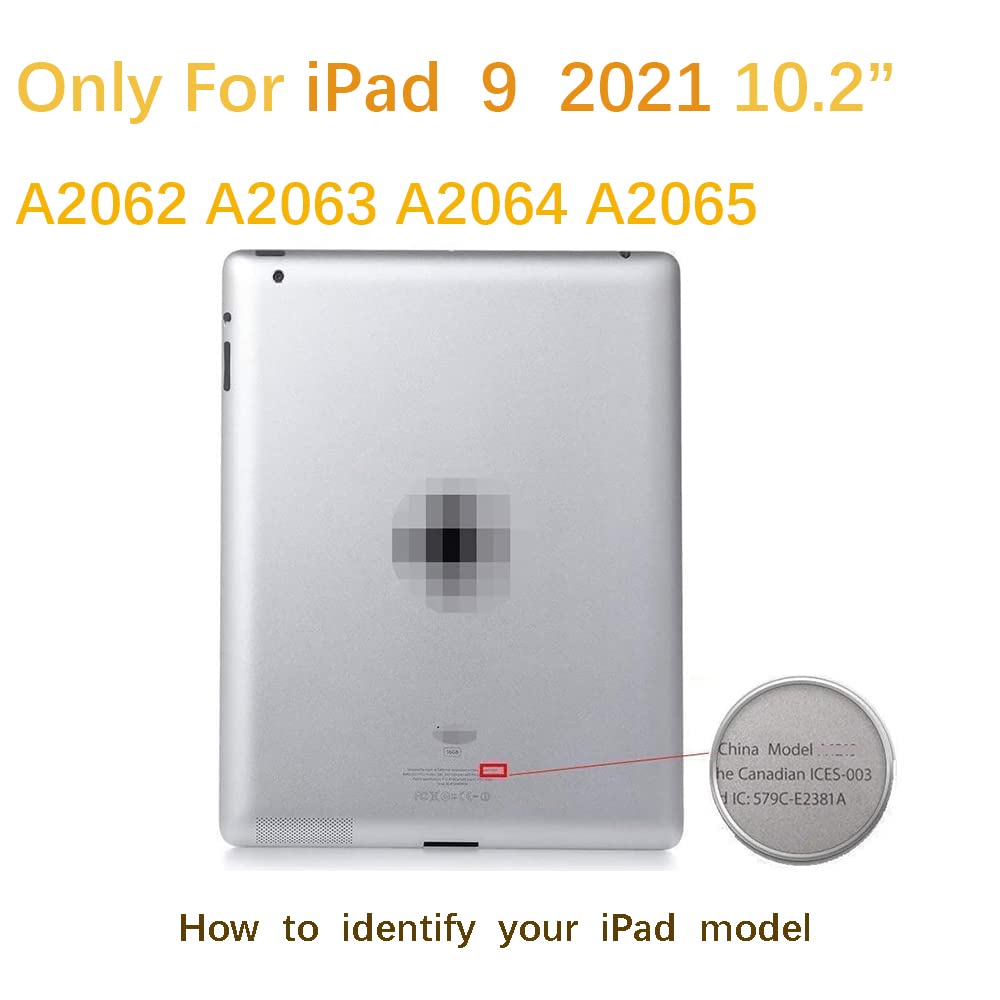 iPad 9th Generation 10.2