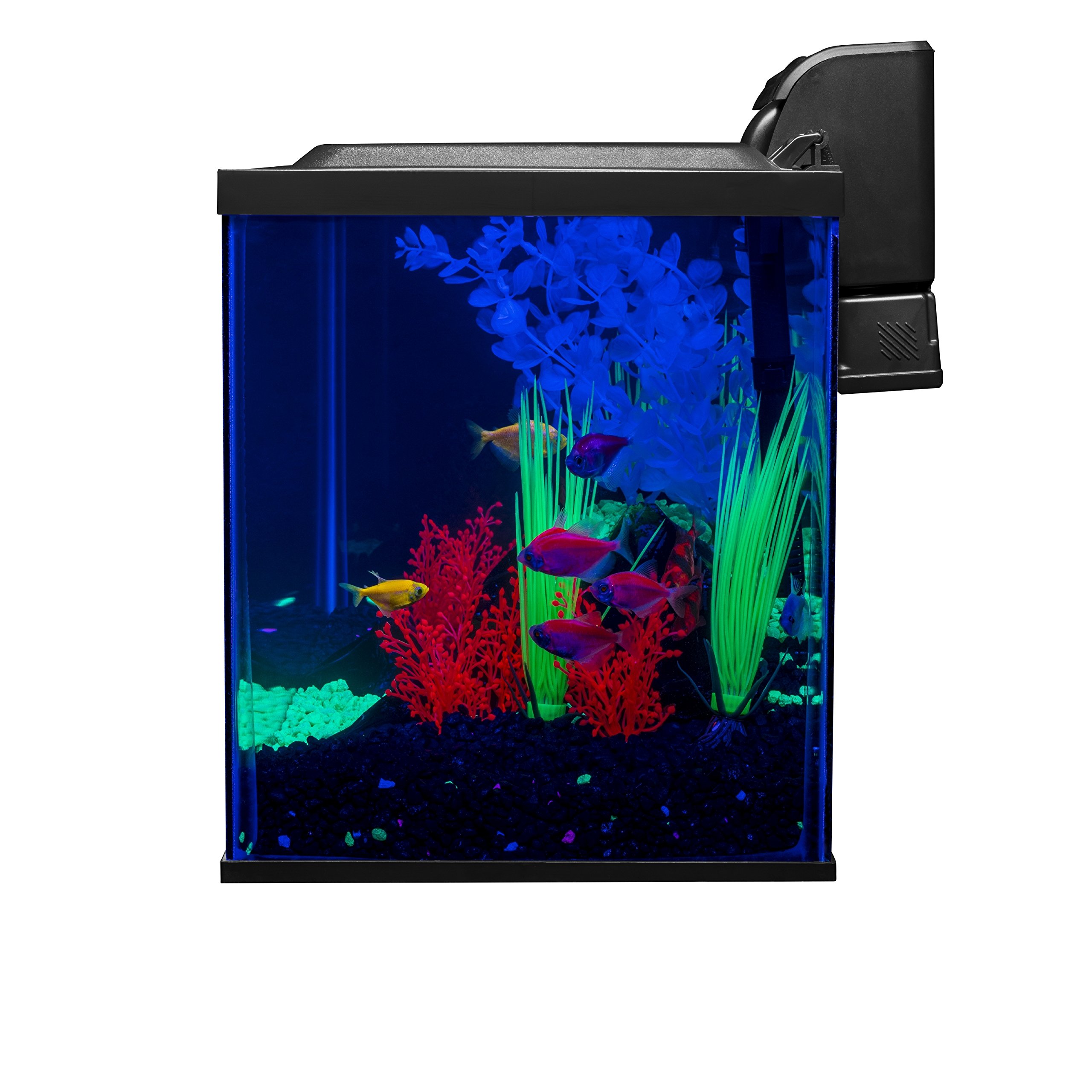 Glofish 10 Gallon Aquarium Fish Tank Kit with LED Lighting & Decorations - Complete Starter Kit for Beginners | Perfect for Home, Office, or Classroom Aquarium Setup (Amazon Exclusive)
