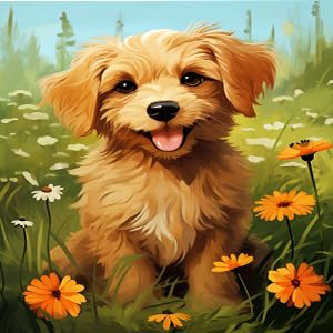 Z33-dog