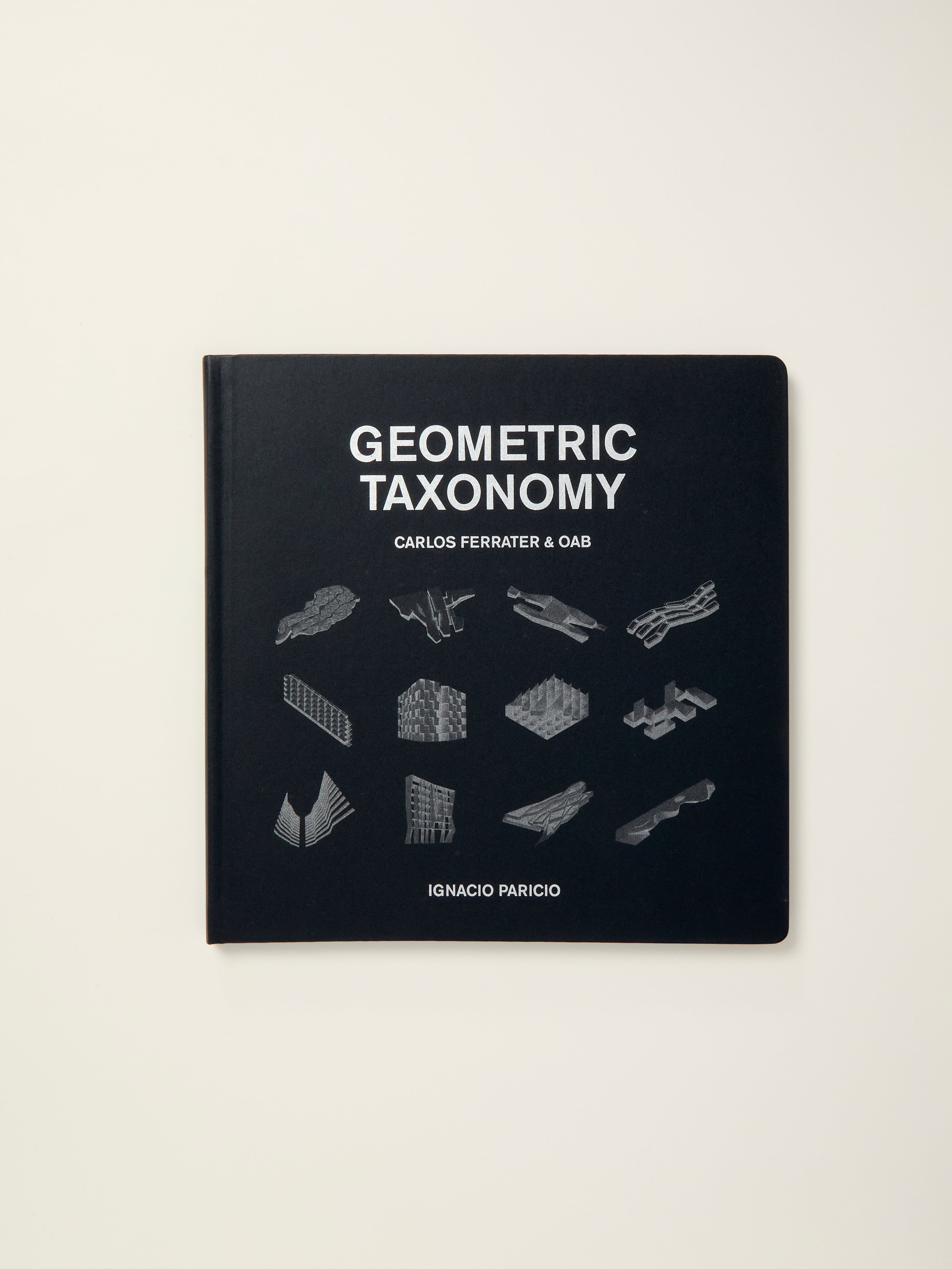 Geometric Taxonomy - Modern Abstract Wall Art for Home & Office Decor | Perfect for Living Room, Bedroom, and Workspace
