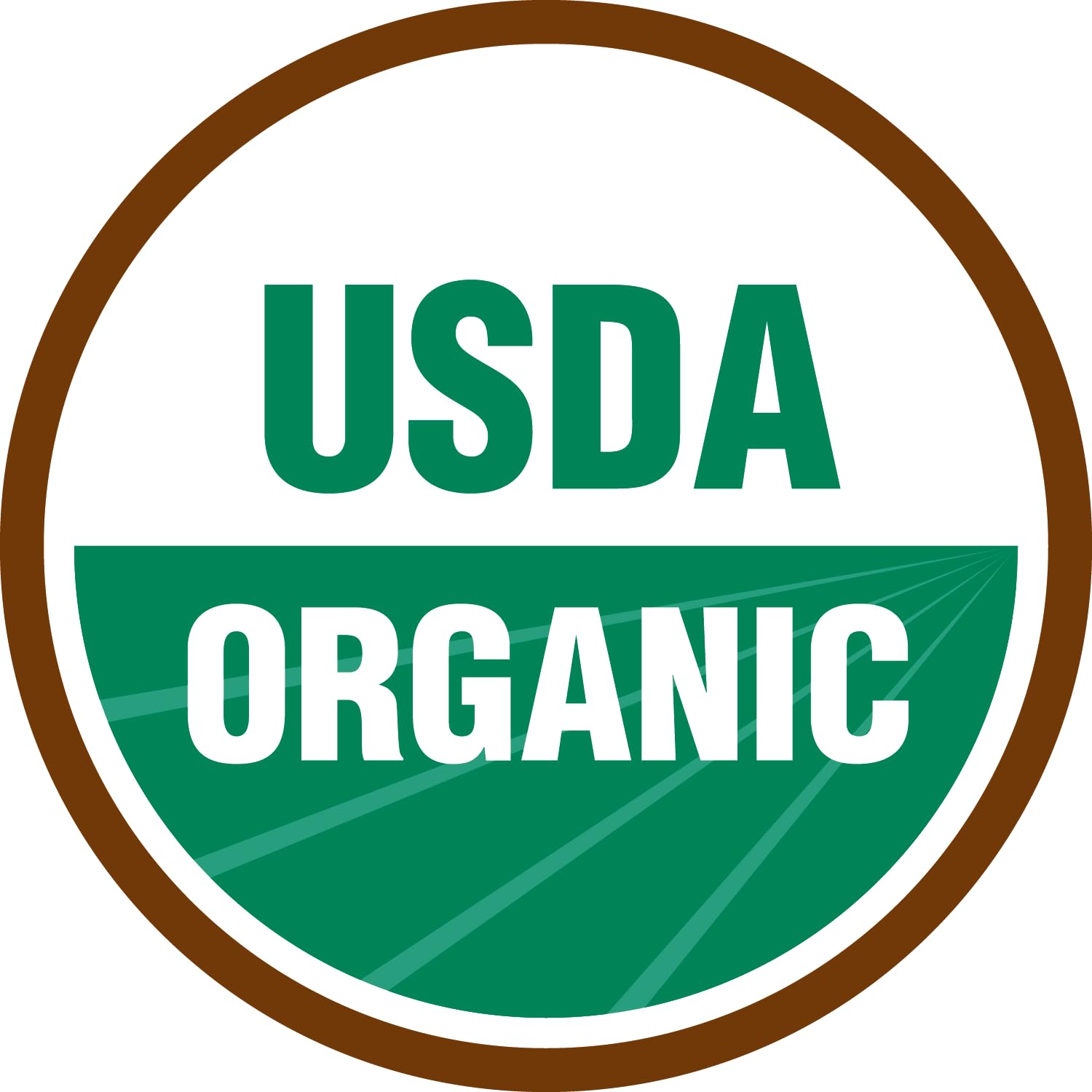 KOYAH Organic USA Grown Celery Powder - Freeze-Dried Whole Stalk Powder (1 Scoop = 1/4 Cup Fresh, 36 Servings) | Natural Seasoning for Soups, Smoothies & Healthy Cooking