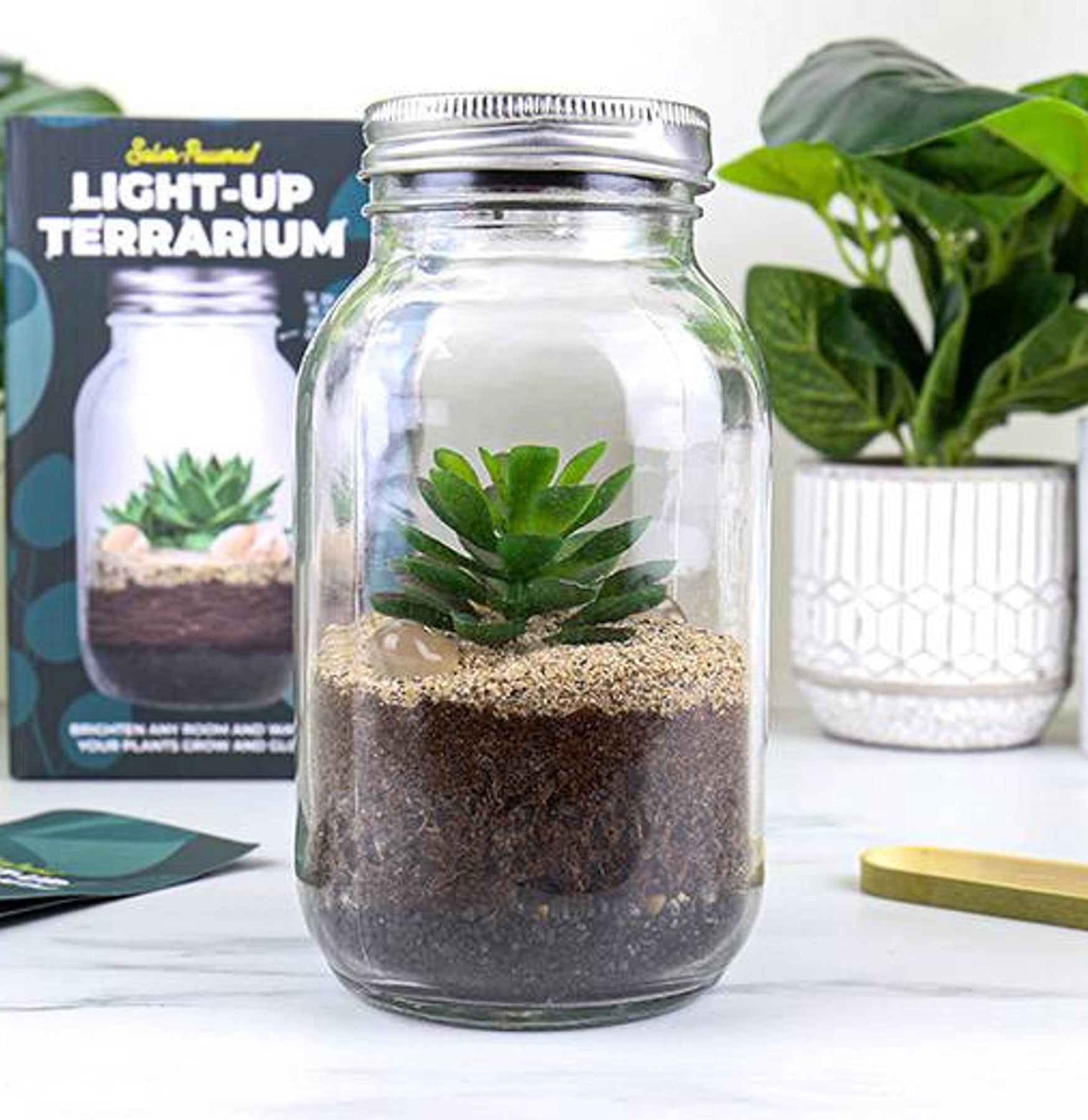 Solar Powered Light Up Terrarium - Decorative Garden & Indoor Plant Display for Home, Patio, or Office Decor