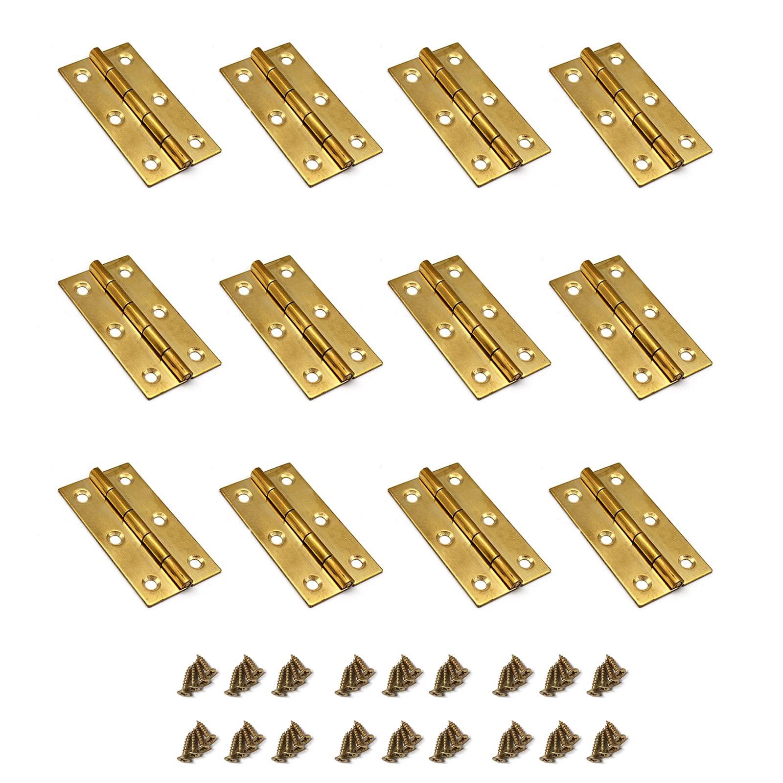 12-Pack Susenya 2