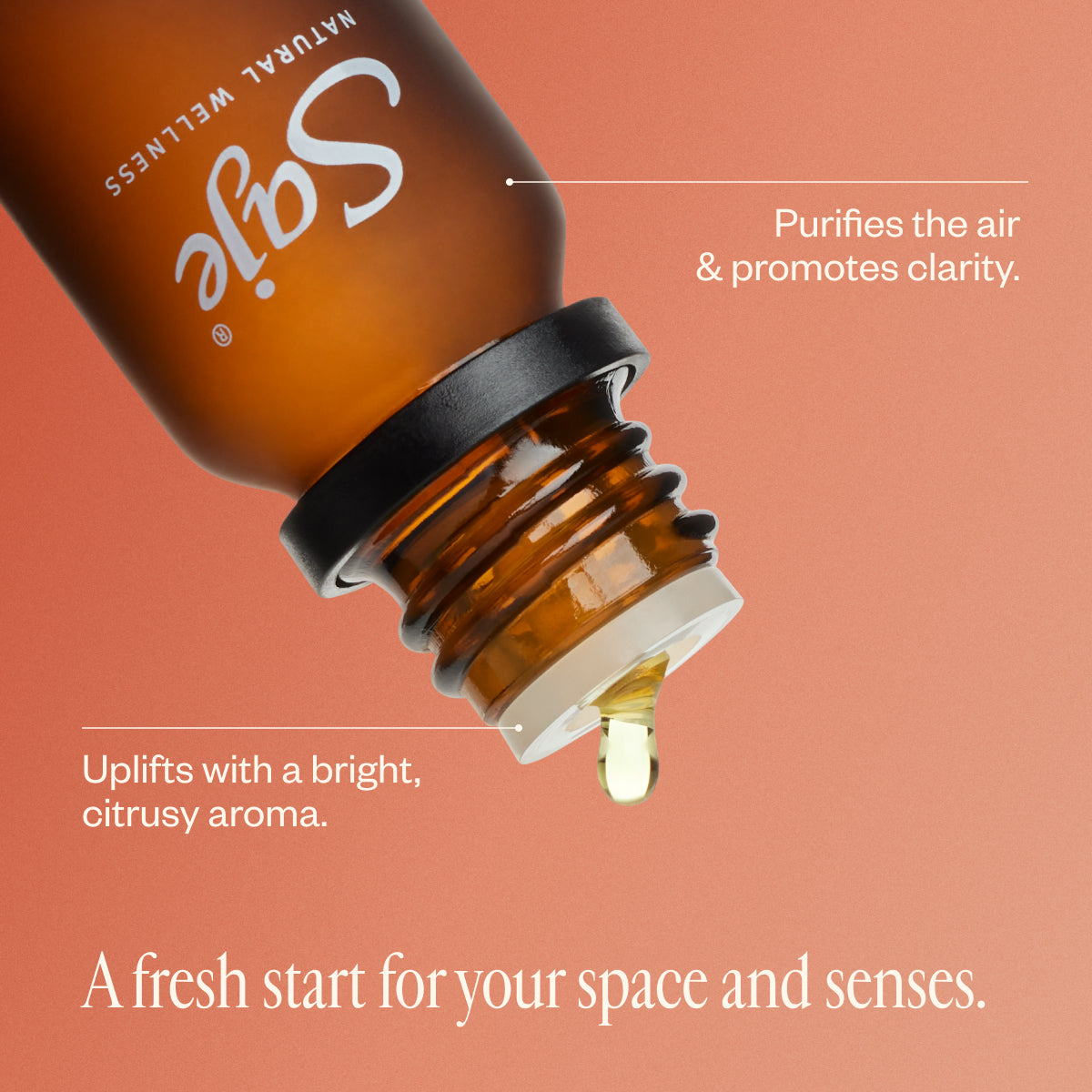 Super Cleanse Purifying Diffuser Blend - Essential Oil Aromatherapy for Relaxation, Stress Relief & Home Freshening | Perfect for Yoga, Meditation & Bedroom