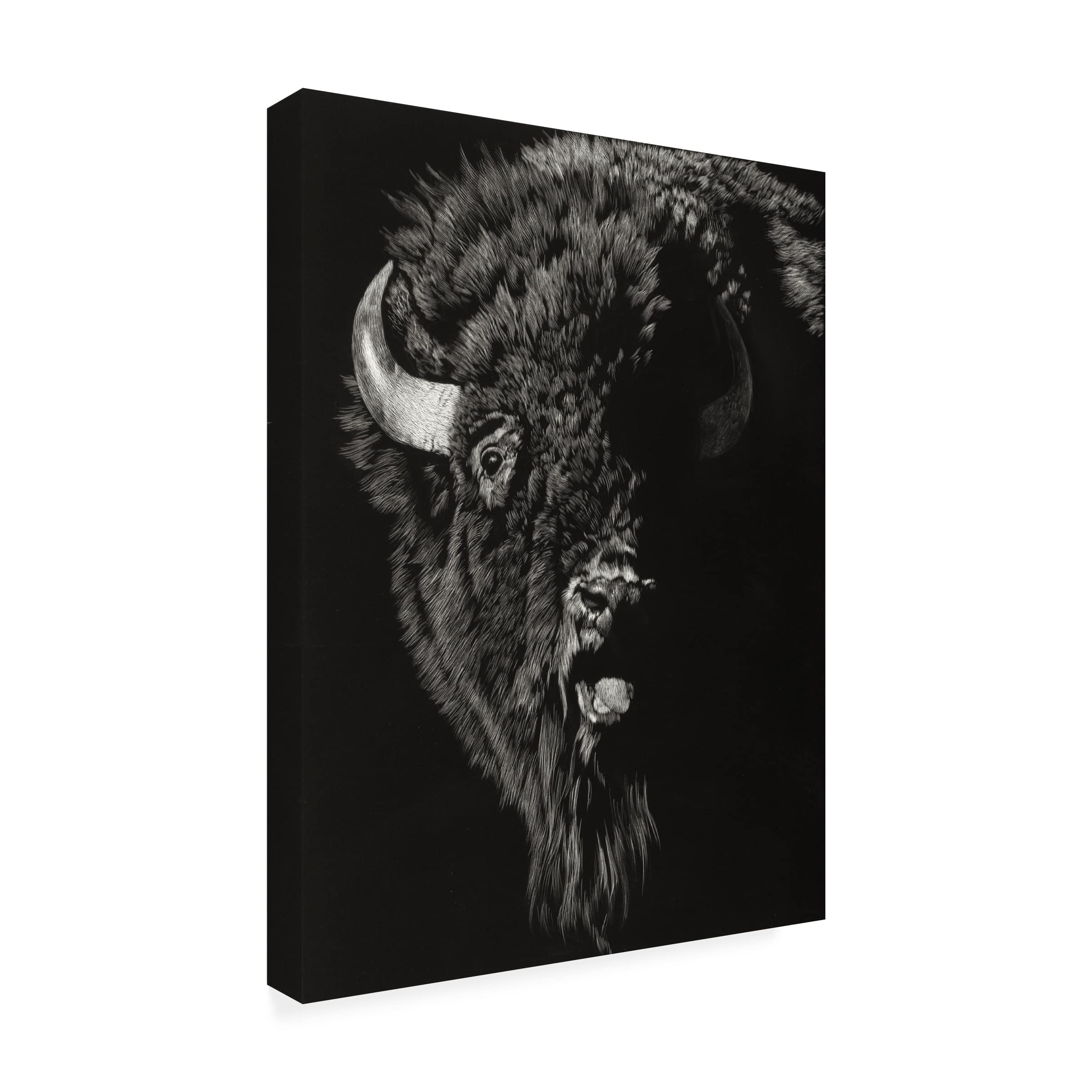 Trademark Fine Art 'Wild Scratchboard IV' Canvas Art by Julie T Chapman - Stunning Wildlife Wall Decor for Living Room, Bedroom & Office