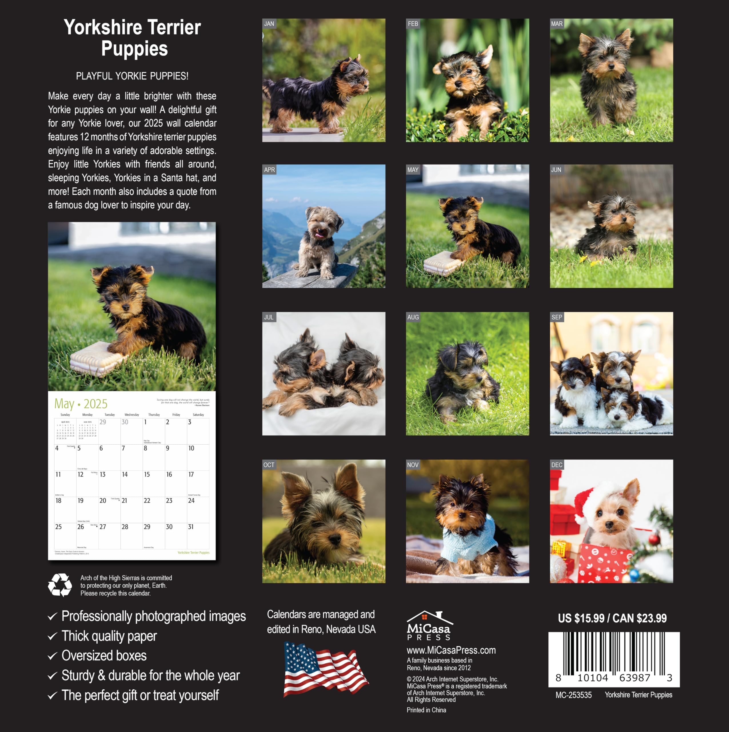 MICASA PRESS - 2025 Yorkshire Terrier Puppies Wall Calendar | 12