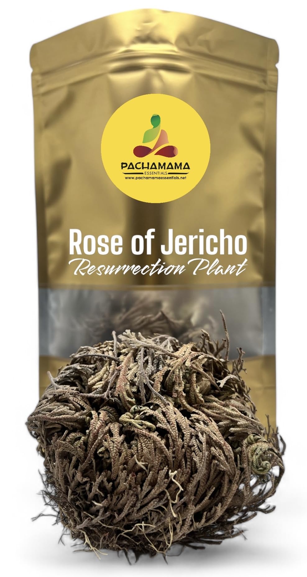 Rose of Jericho - Resurrection Plant (Selaginella Lepidophylla) - Pack of 1 Dried Miracle Flower - Perfect for Home Decor, Spiritual Rituals & Unique Gifts