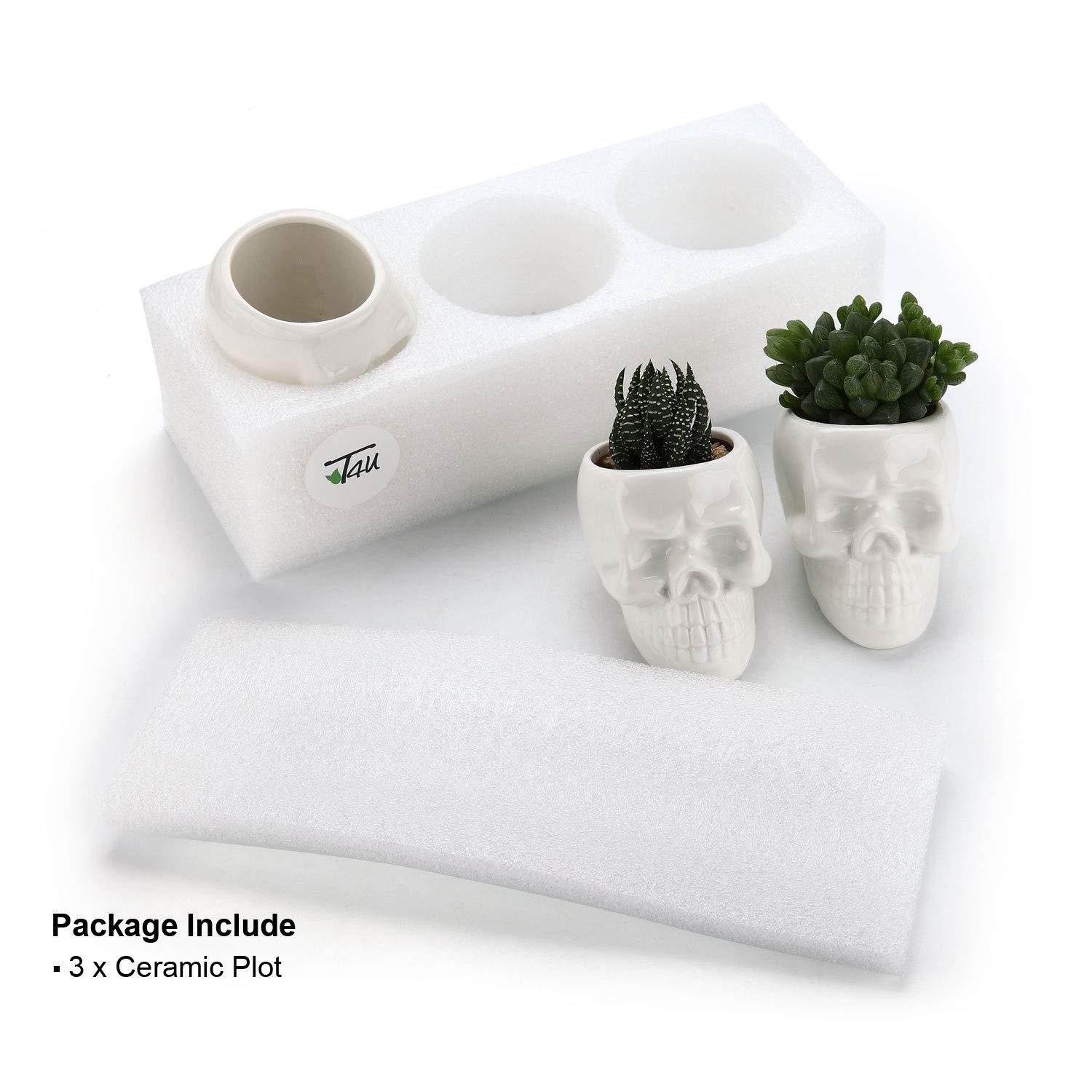 T4U Set of 3 Gothic Skull Succulent Planter Pots - White Ceramic Cactus Planters with Drainage Holes | Creative Plant Lover Gifts for Christmas, Birthday & Housewarming | Multi-Functional as Pen/Pencil Holder | Perfect for Home Office Decor, Gothic Decor & Halloween Party Centerpieces