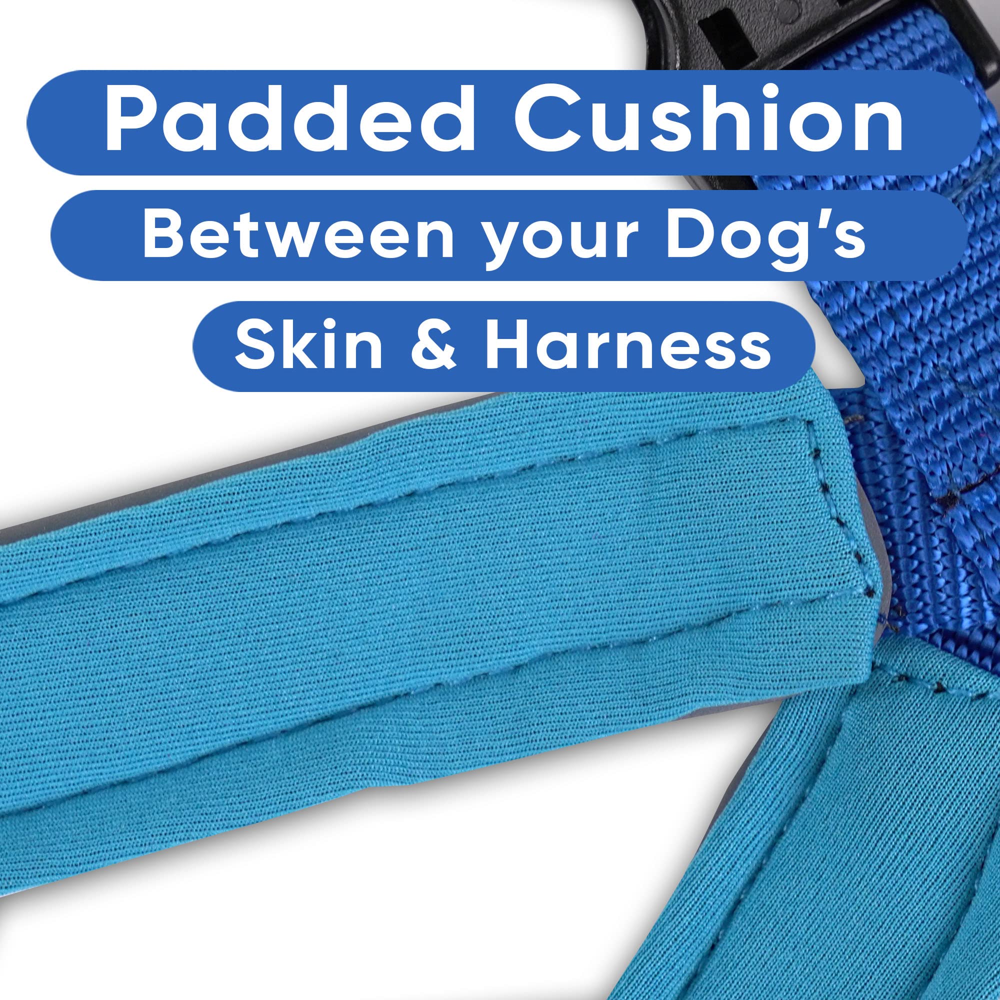 Pawtitas Reflective Dog Harness - Padded & Comfortable Pet Vest for Walking, Running & Outdoor Adventures - Medium Size in Blue - Perfect for Nighttime Safety & Daily Dog Activities