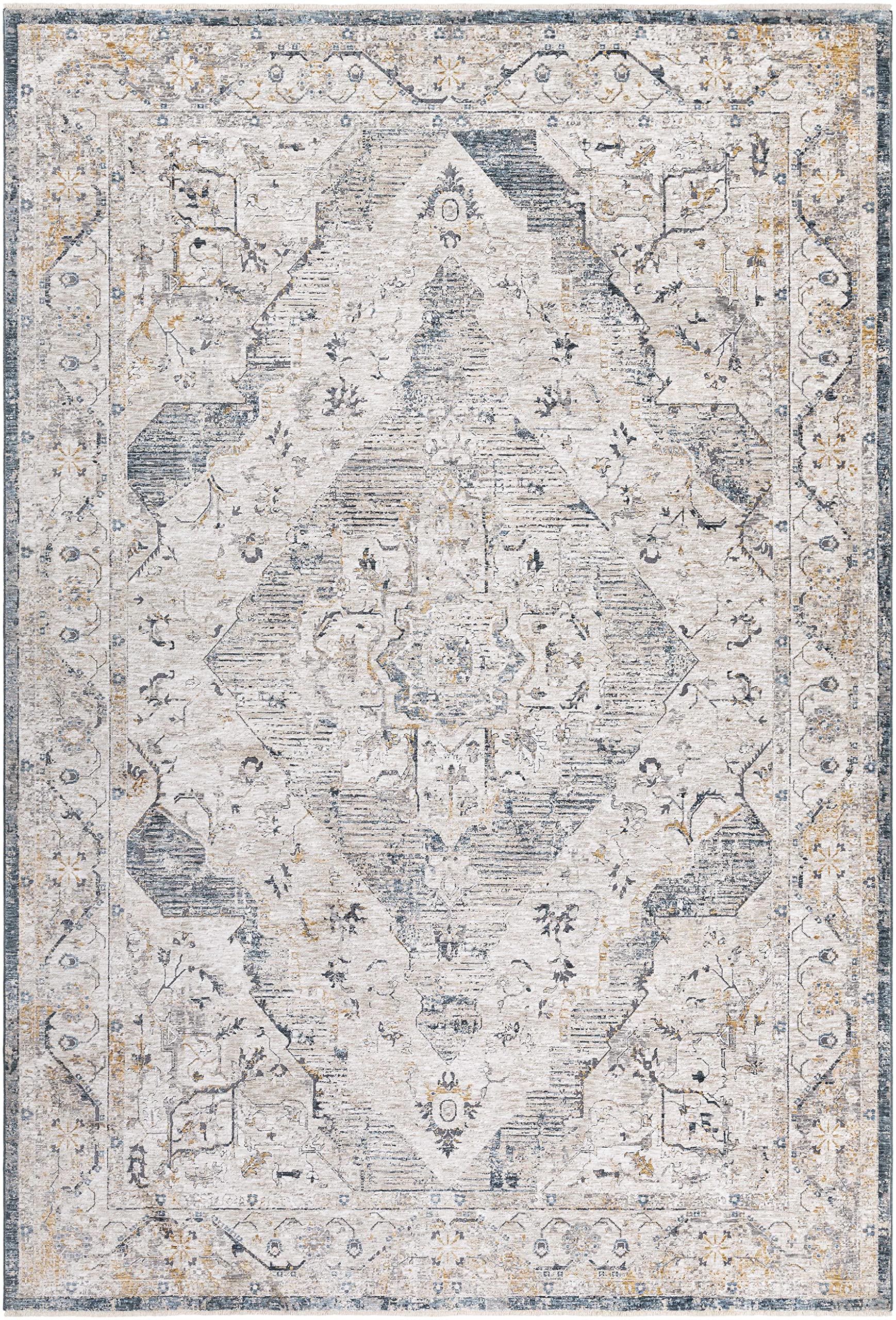 Hauteloom Wadeye Traditional Gray and Blue Area Rug 2'7