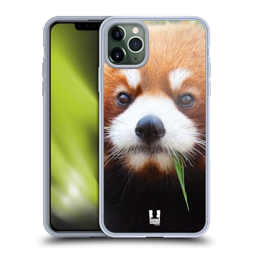 Red Panda