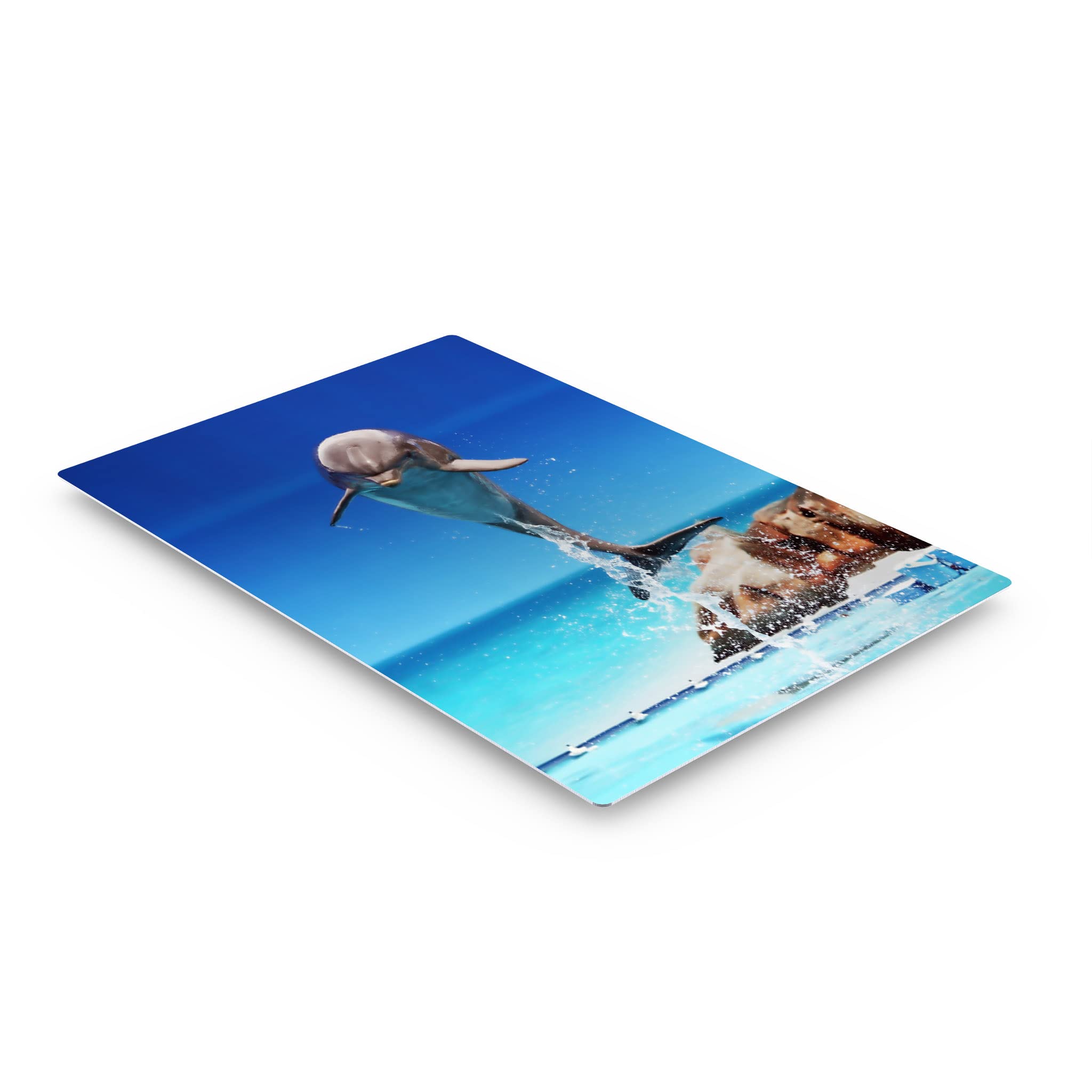 Dolphin Metal Wall Art Print - Blue Sky Marine Animal Portrait for Coastal & Nautical Decor | Ocean-Themed Home & Office Decor | Perfect for Living Room, Bedroom, Nursery & Kids Room | Made in USA - 40x30 Inches
