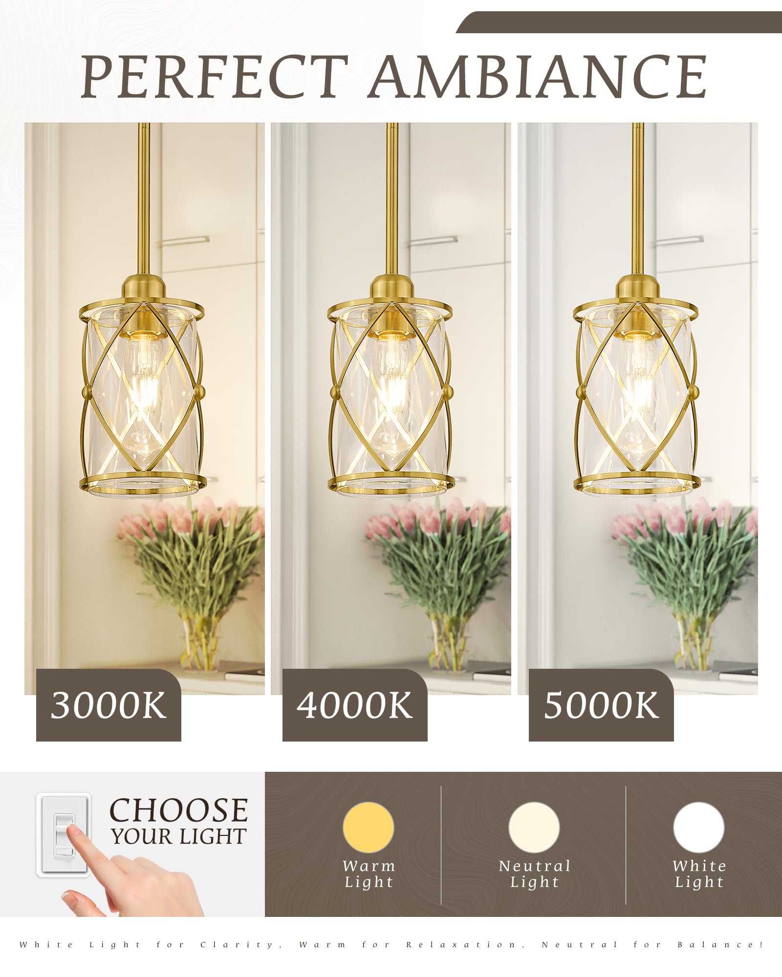 Brushed Gold Pendant Lights for Kitchen Island - 2 Pack Farmhouse Brass Glass Cage Hanging Light Fixture with Rod - Perfect for Kitchen, Dining Room, Bathroom, and Sink Areas - CH9176BG-2PKG