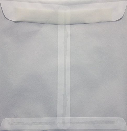 Premium LUXPaper Square Invitation Envelopes 9.5