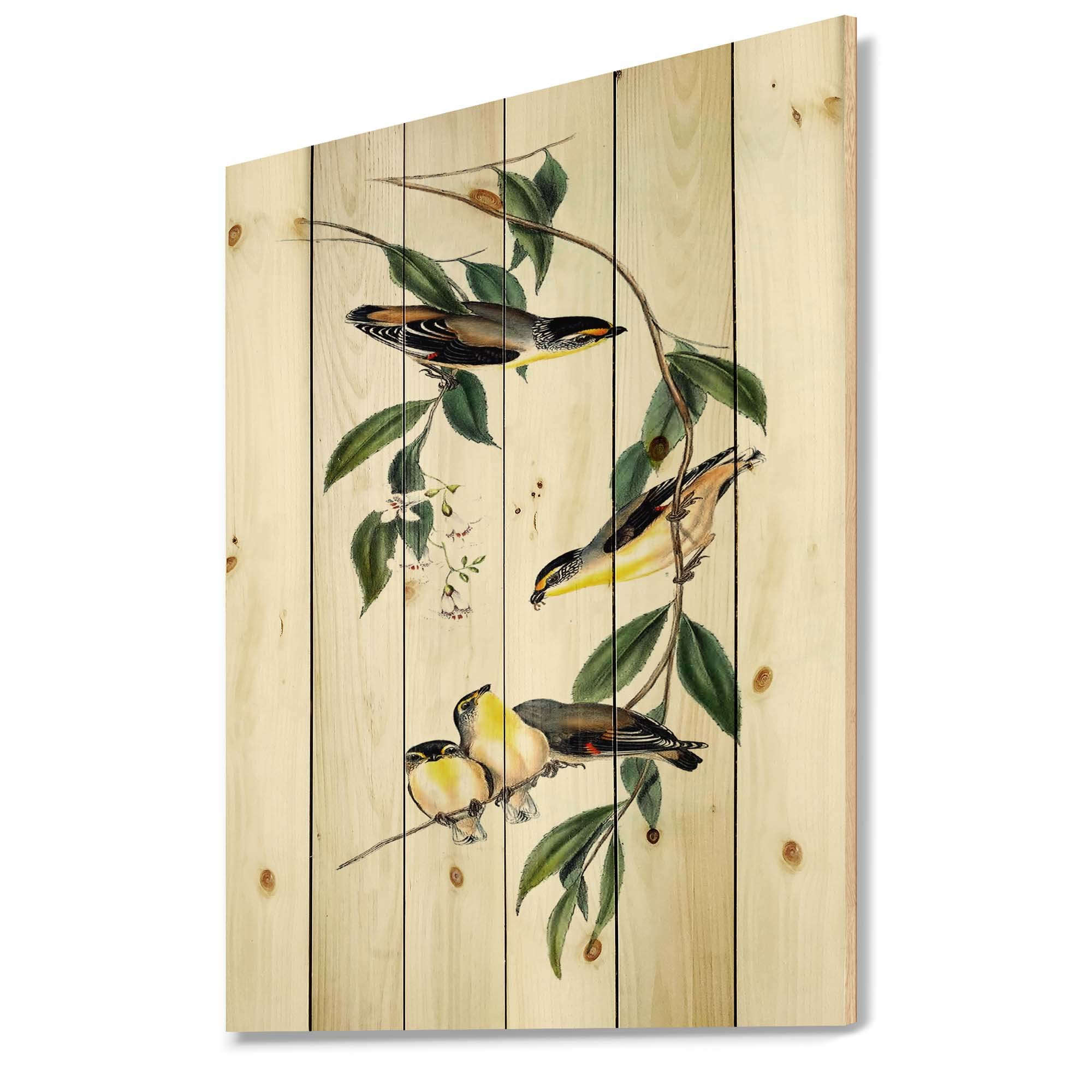 DesignQ Vintage Bird III Traditional Wood Wall Decor - Green Wood Wall Art, Large Animal Wood Panels Printed on Natural Pine - Perfect for Living Room, Bedroom & Office Decor