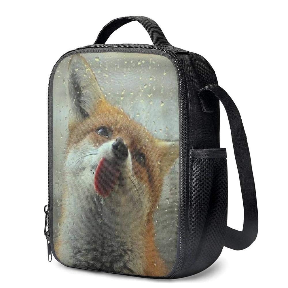 3D Fox Insulated Lunch Bag - Cute & Funny Thermal Cooler for School, Work, Beach & Picnic | Leakproof Food Container & Snack Bag for Kids & Adults