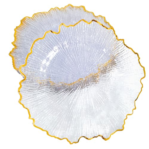 Reef Clear