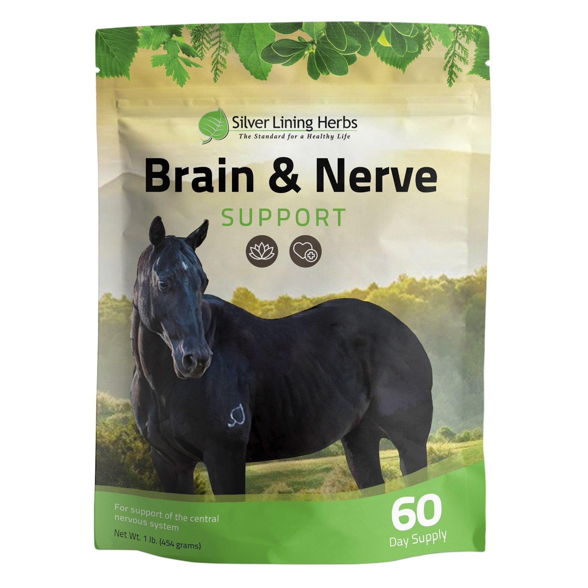 Silver Lining Herbs Brain & Nerve Support for Horses - Natural Equine Herbal Supplement for Improved Focus, Attention Span & Behavior - Promotes Mental Health & Calmness - 1 Pound Bag - Ideal for Training, Competition & Anxious Horses