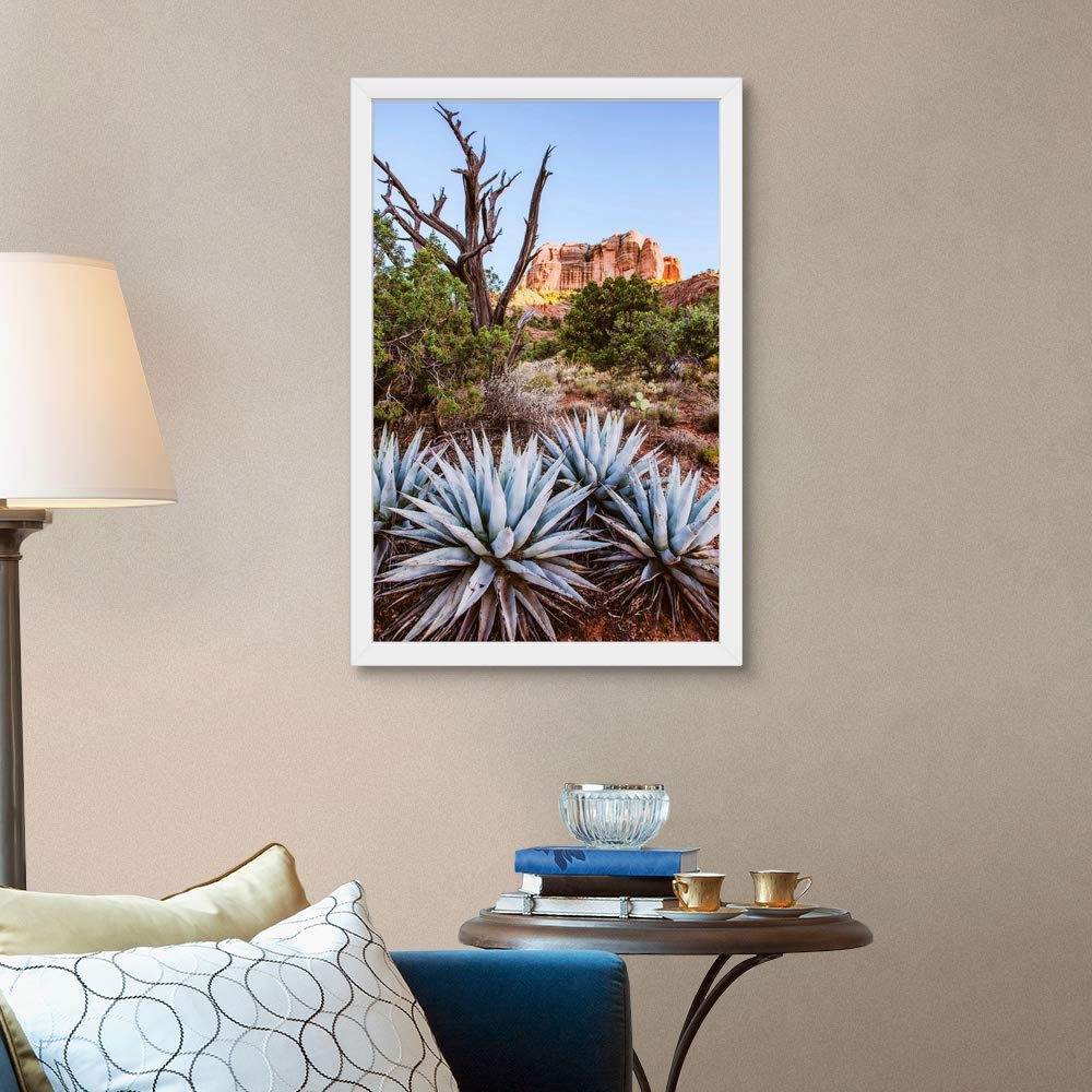 Agave Plants Sedona Arizona White Framed Art Print - Desert Landscape Wall Decor for Home & Office - Perfect for Southwestern Style Interior Design