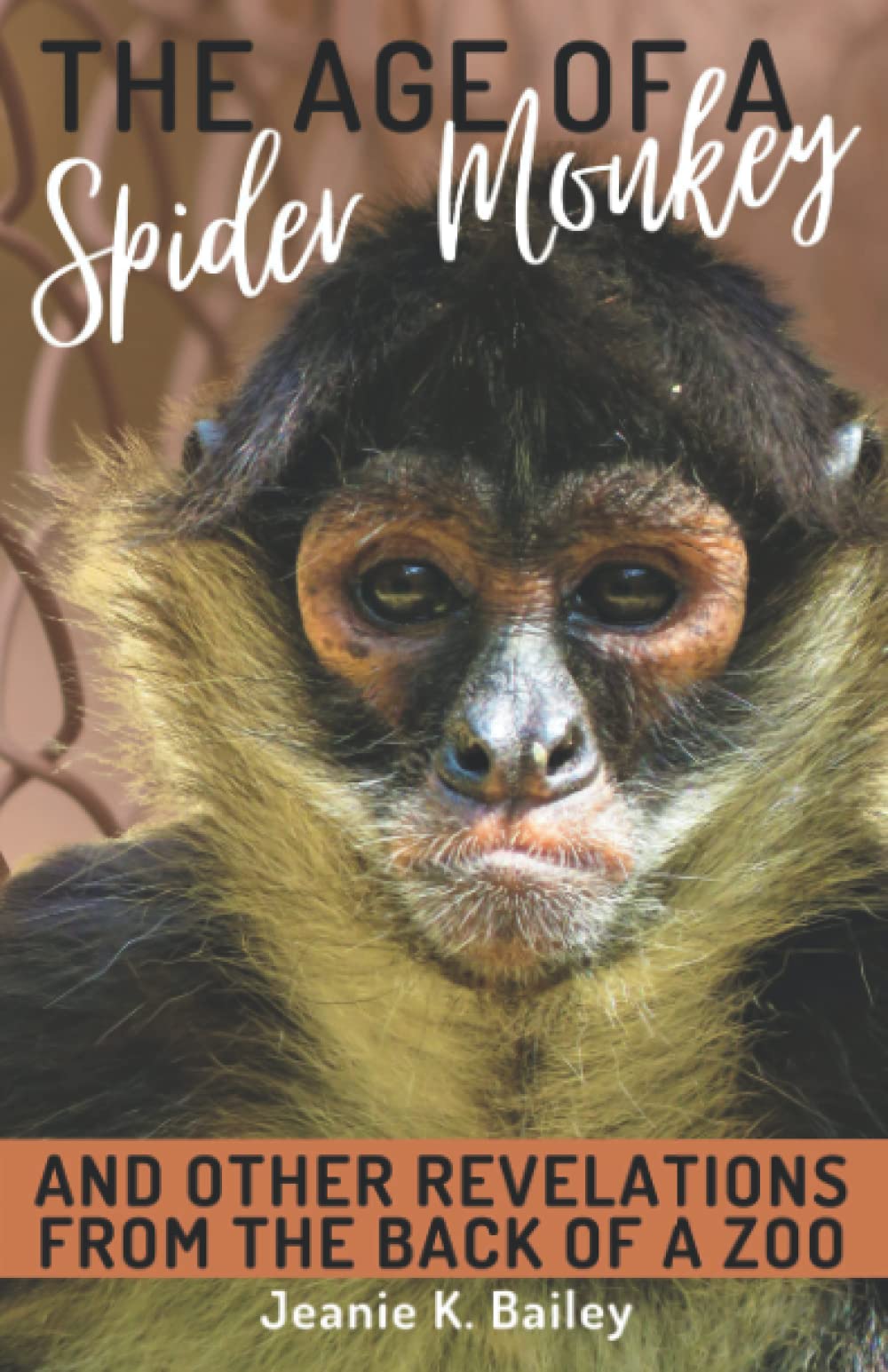 Spider Monkey Lifespan & Zoo Animal Secrets - Fascinating Wildlife Facts for Animal Lovers & Zoo Visitors