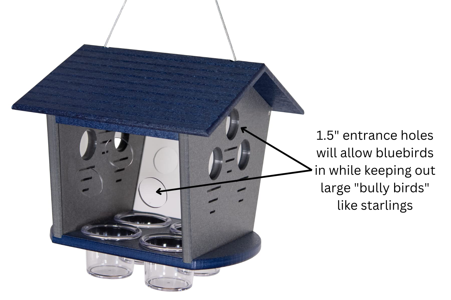 JCs Wildlife Ultimate Enclosed Bluebird Feeder - Starling Proof Bird Feeder with 2 Cups Capacity for Dried Mealworms - Perfect for Backyard Bird Watching & Protecting Bluebirds from Bully Birds