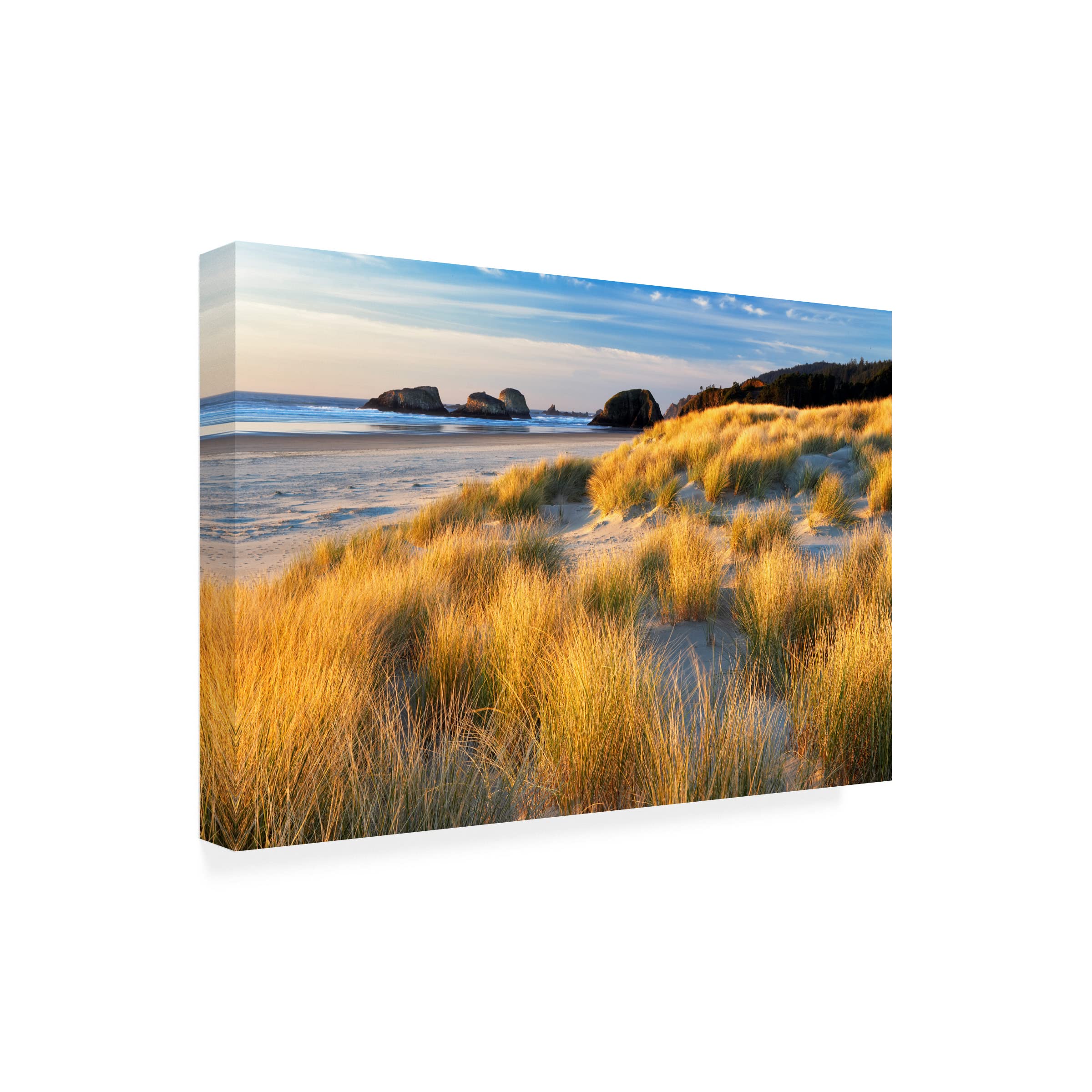 Dennis Frates 'Sea Grass 8' Canvas Wall Art Print - Coastal Beach Decor for Living Room, Bedroom & Office - Trademark Fine Art Collection