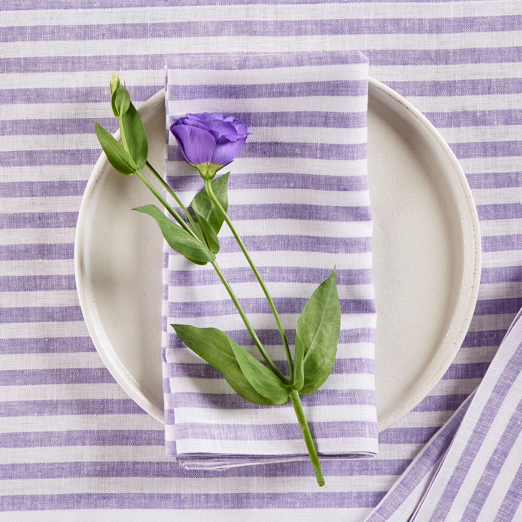 Amalfi Stripe Cotton Napkins Set of 12 - Premium Dinner Napkins for Formal Dining, Parties & Holiday Table Decor - Elegant Italian-Inspired Table Linens
