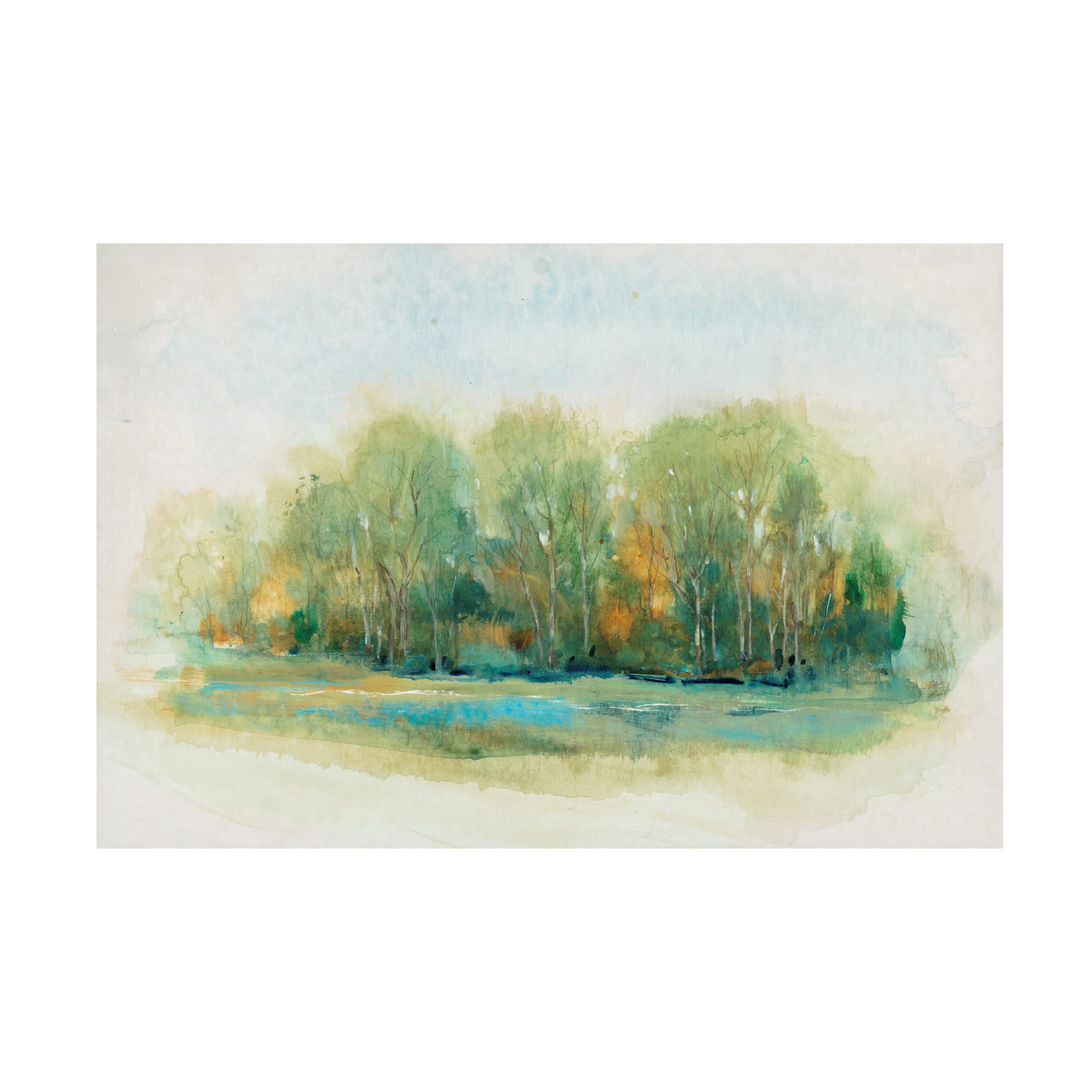Trademark Fine Art 'Forest Vignette I' Canvas Wall Art Print by Tim O'Toole - Nature Landscape Painting for Living Room, Bedroom & Office Decor