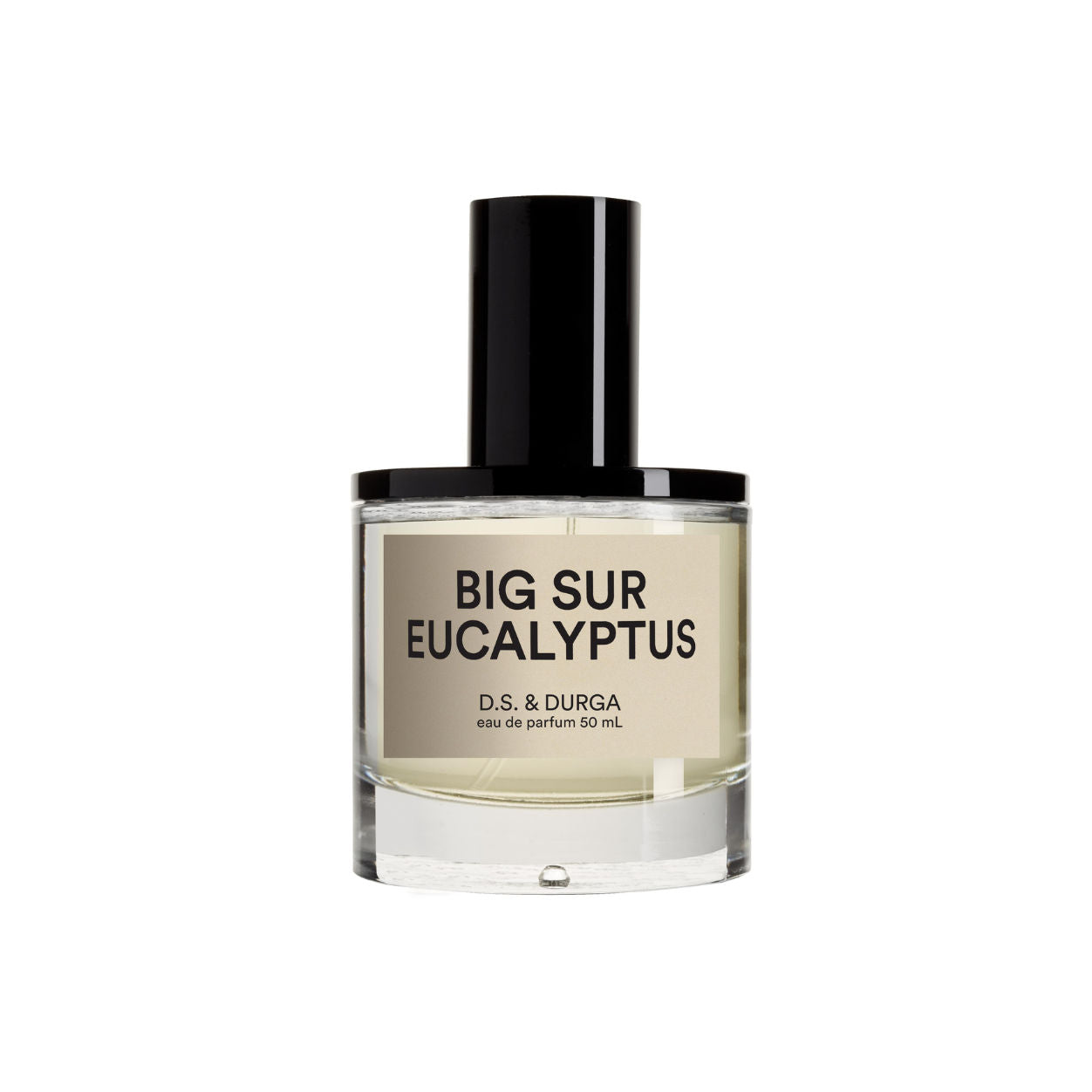 Big Sur Eucalyptus Eau de Parfum - Fresh & Woody Fragrance for Women & Men - Perfect for Daily Wear, Office & Date Nights