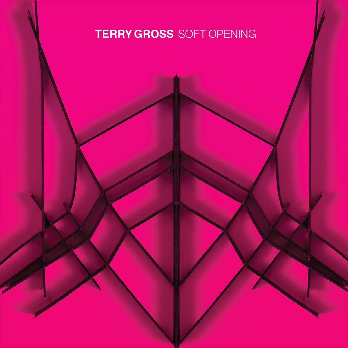 Soft Opening (Translucent Pink Vinyl) - Limited Edition Vinyl Record for Music Lovers & Collectors - Perfect for Home Listening, Gifts & Music Collections