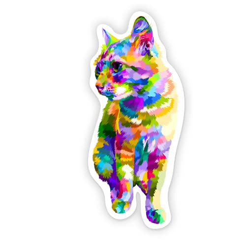 Colorful Cat 3