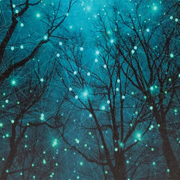 15 Starry Forest