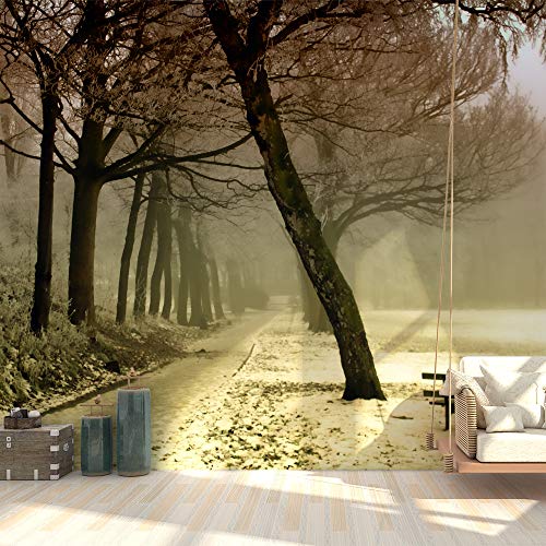 Forest-2001-y08