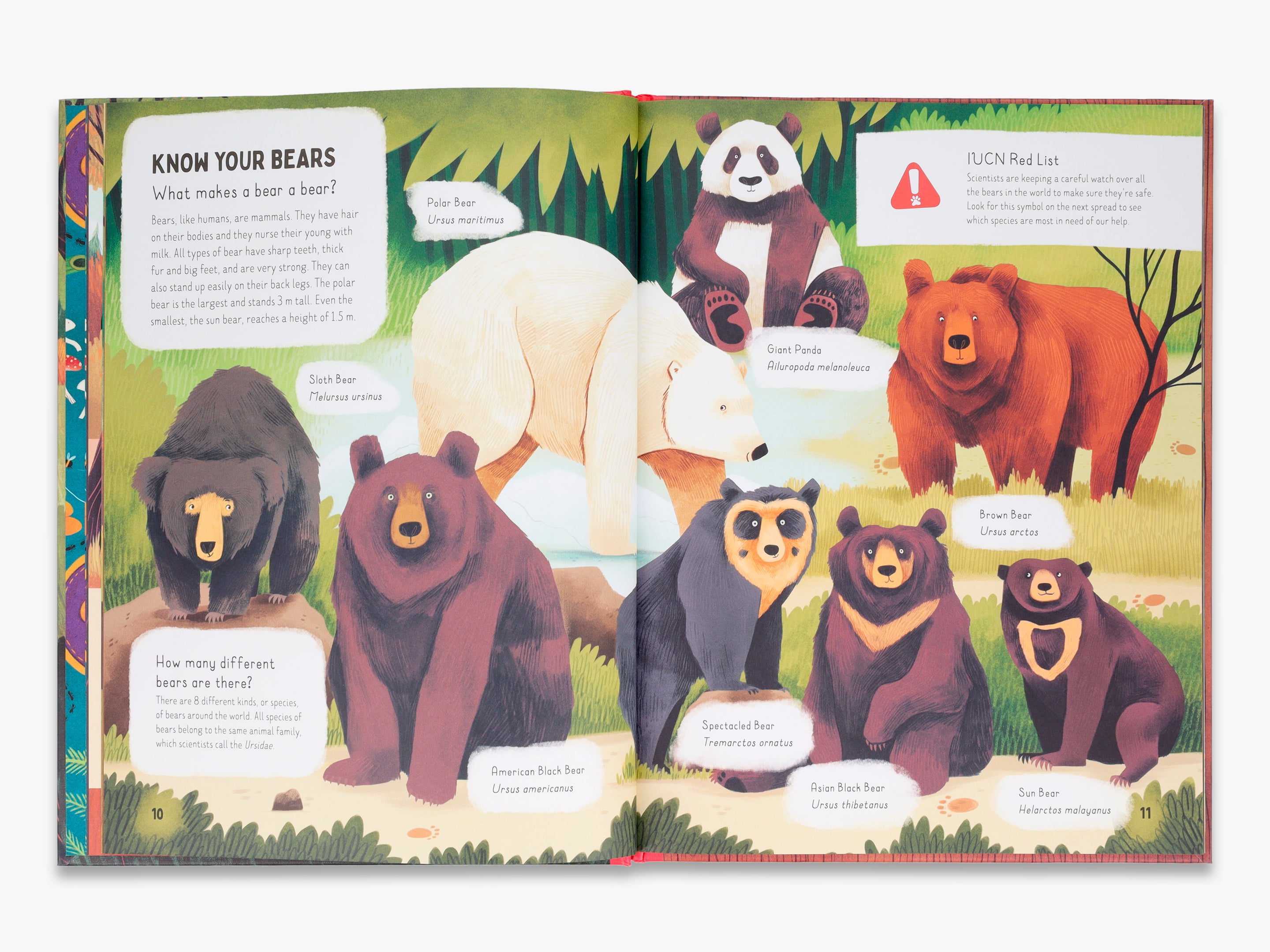 Do Bears Poop in the Woods? Fun Nature Facts for Kids - Perfect for Outdoor Learning & Camping Adventures
